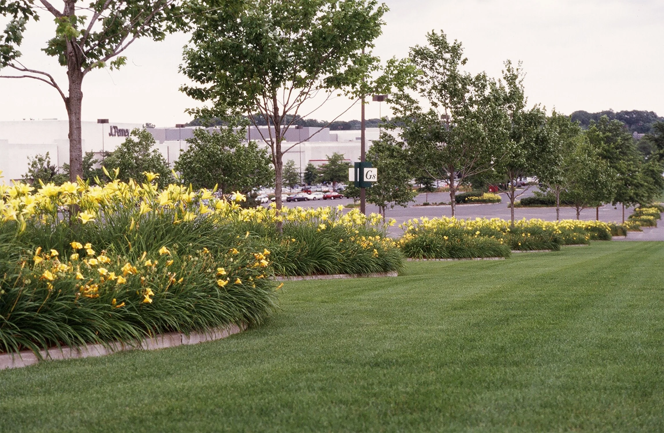 Westfarms 1_Richter Cegan.jpg