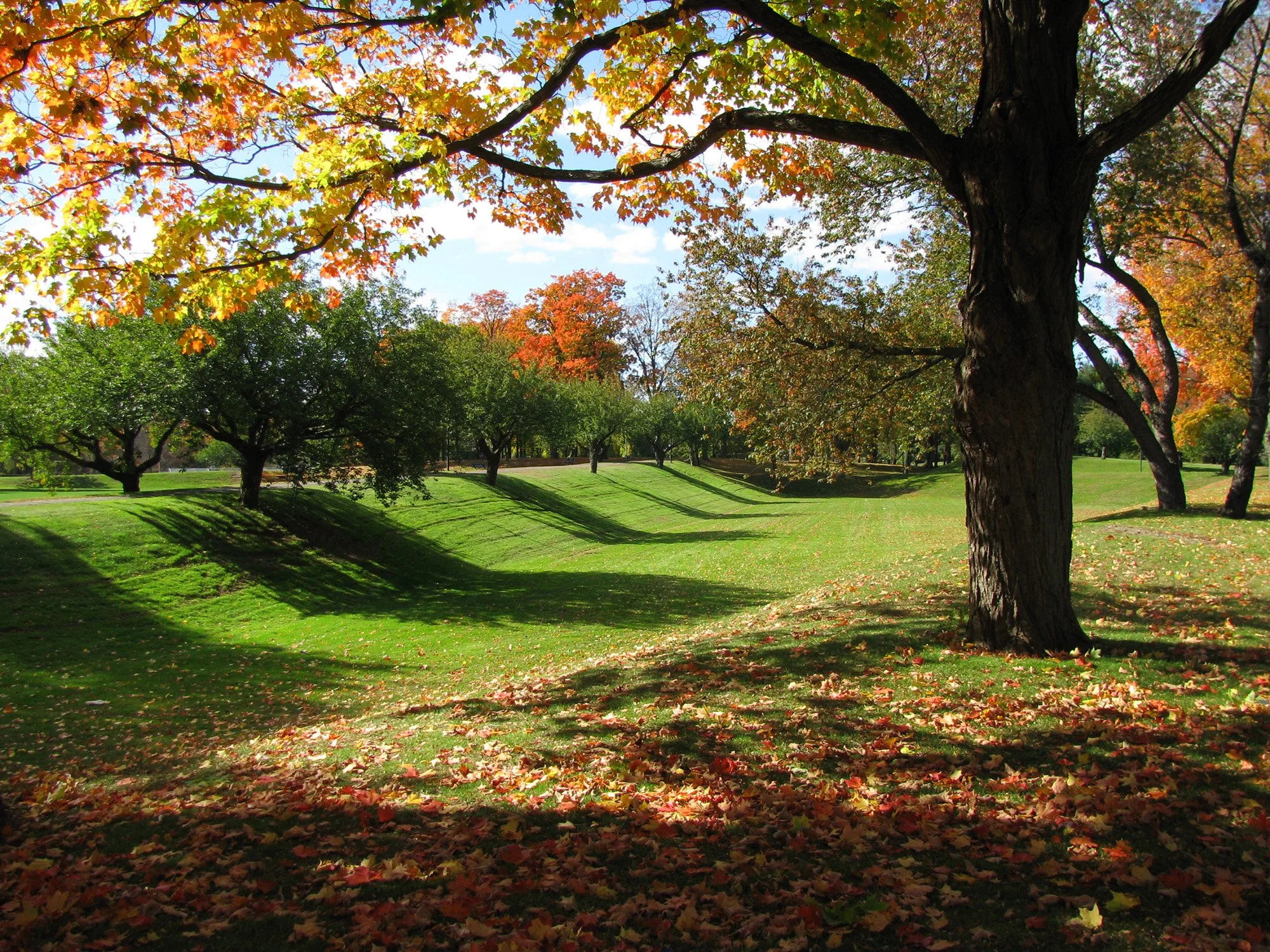 Wolcott Park 1_Richter Cegan.jpg