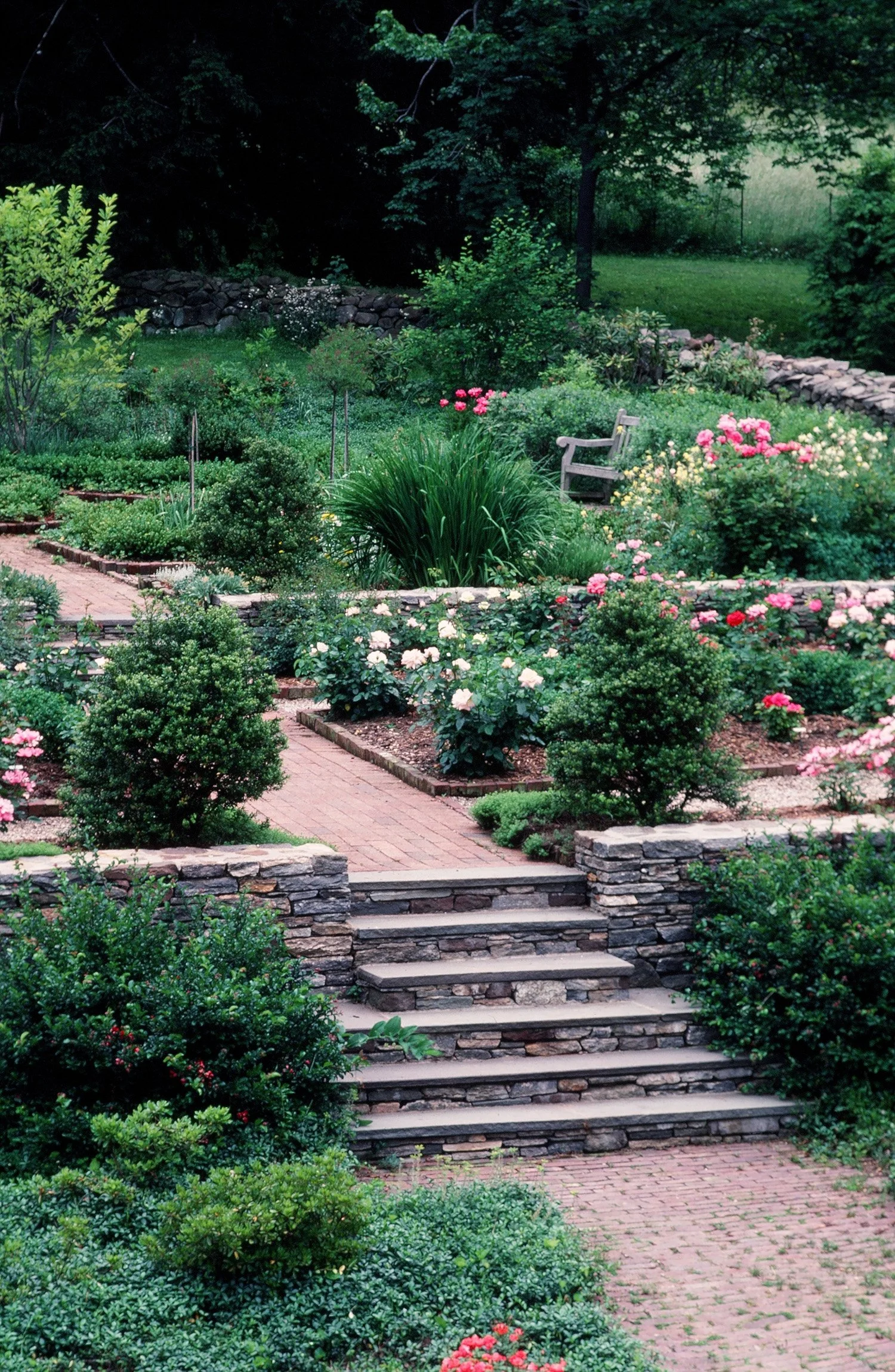 Bloom Garden 6_Richter Cegan.jpg