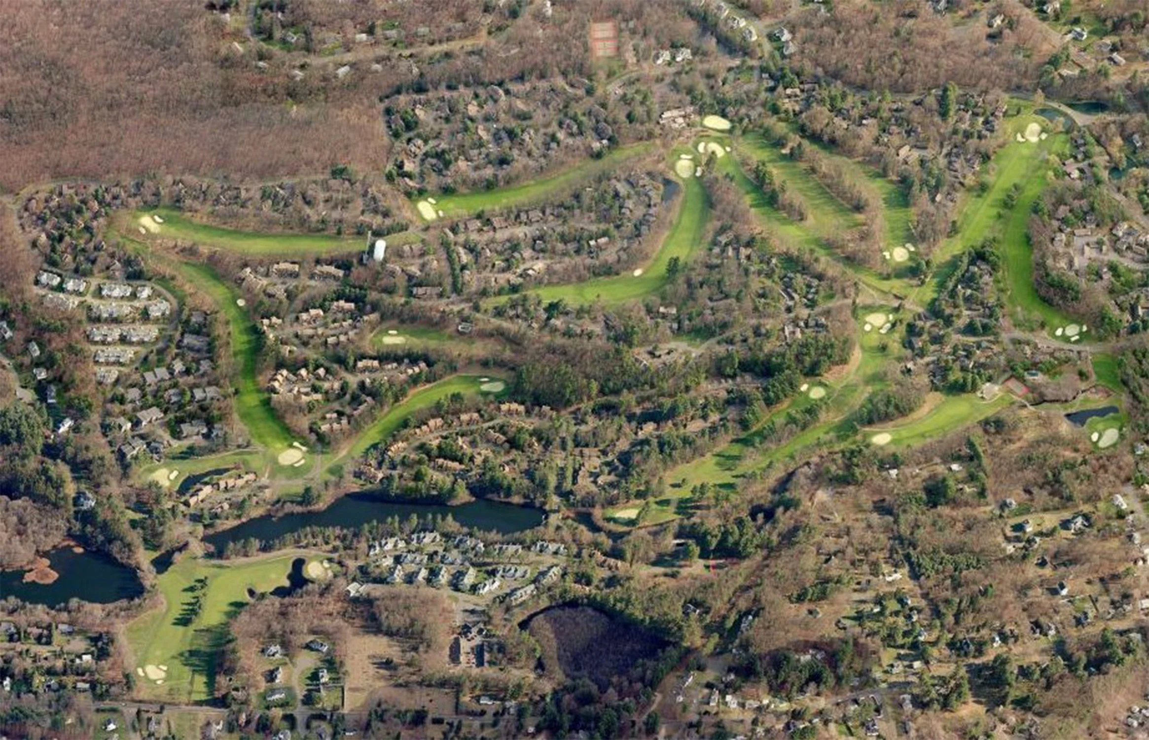Farmington Woods 6_Richter Cegan.jpg