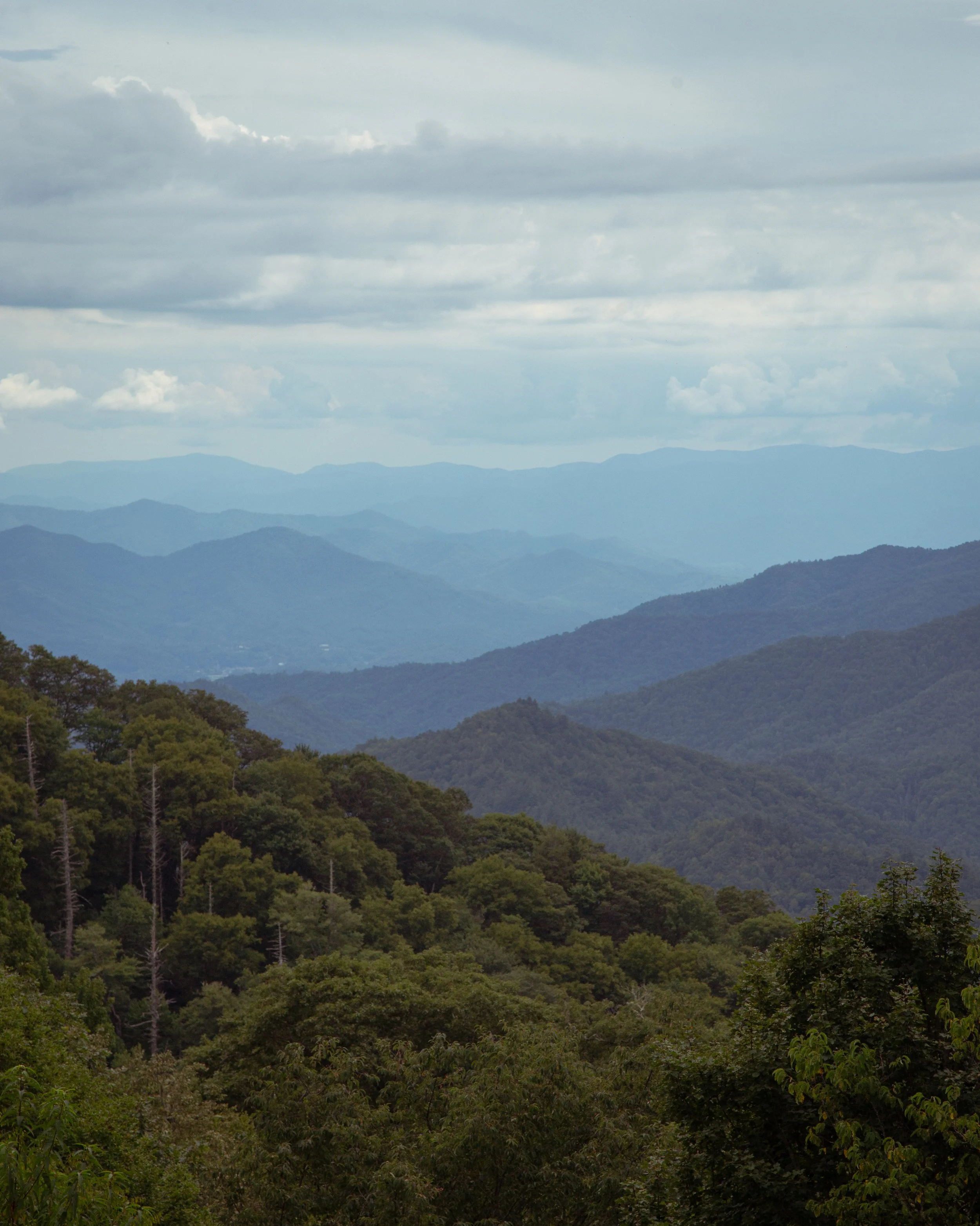 View of multiple layers of blue mountain ranges under a cloudy sky, with green forested hills in the foreground.