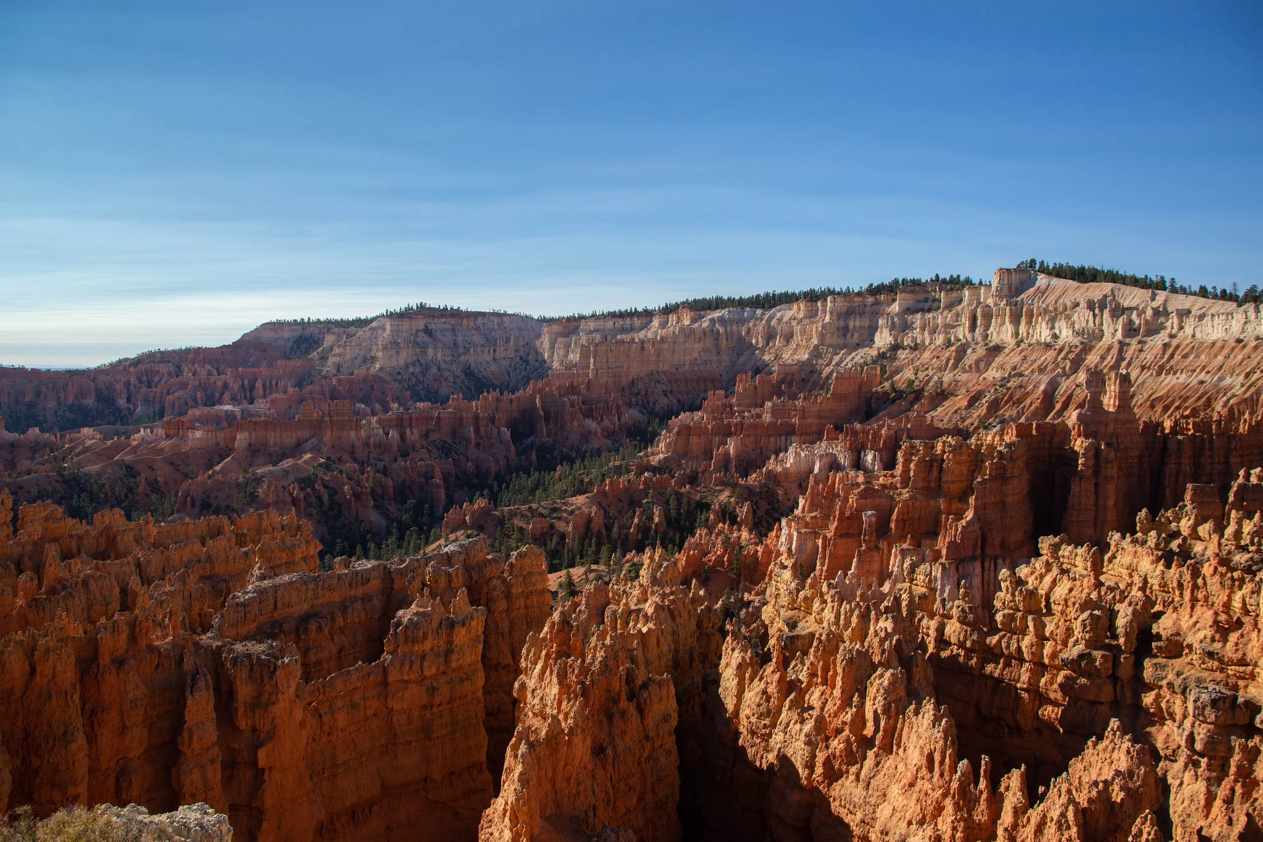 Scenic view of Bryce Canyon with red and orange hoodoos under a clear blue sky.