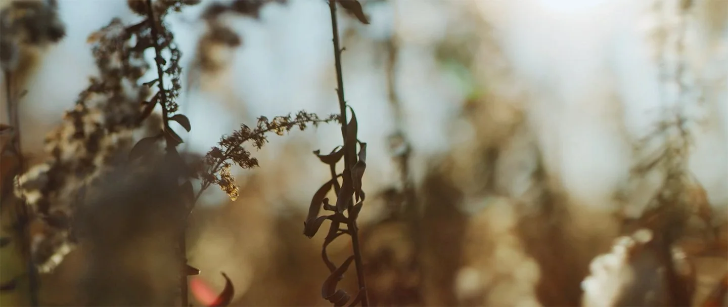 Screenshot 2025-01-29 at 12.30.56 PM copy.jpg