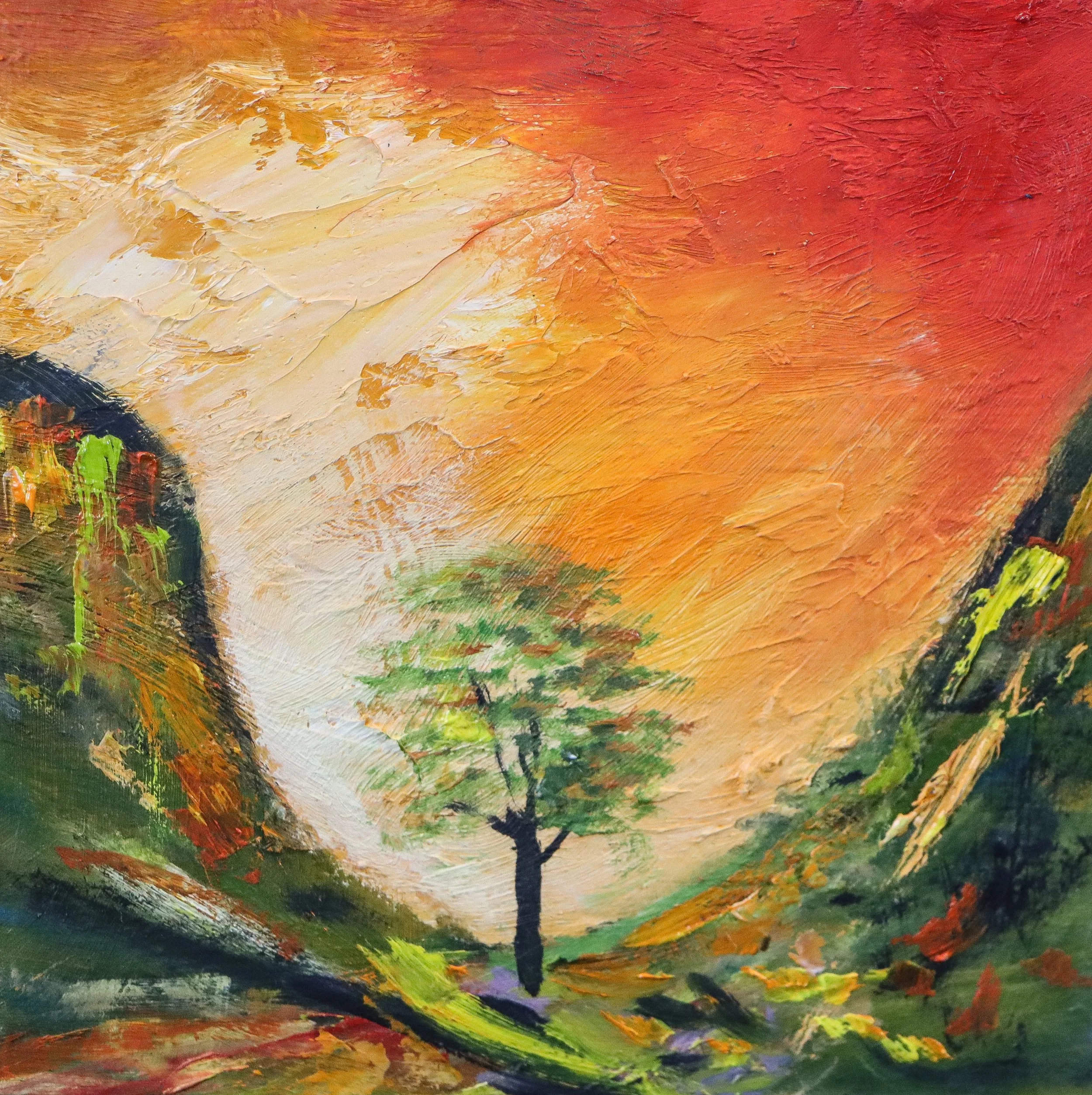 Sycamore Gap Tree 1