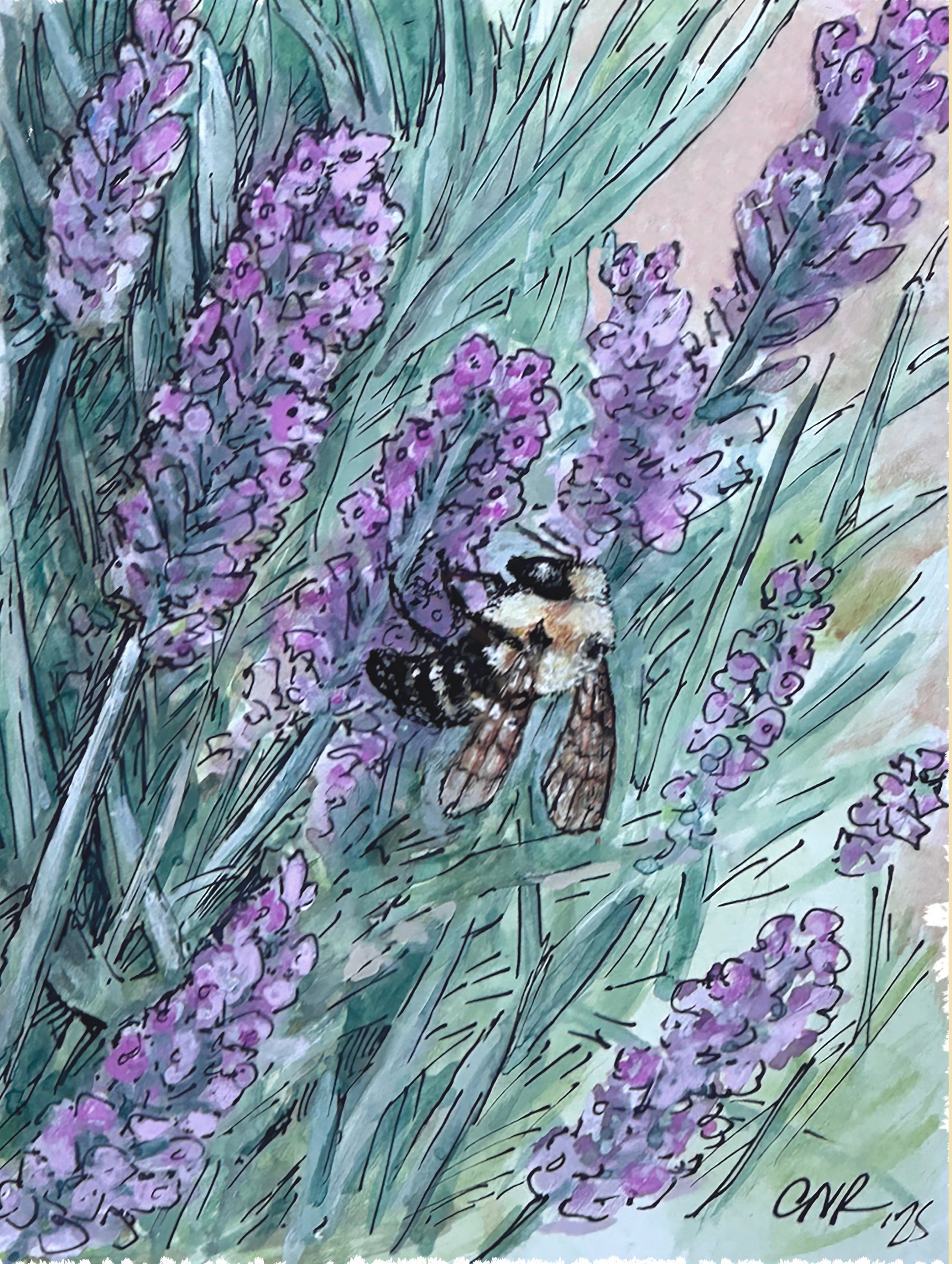 Bumble Bee and Sea Lavender Watercolor