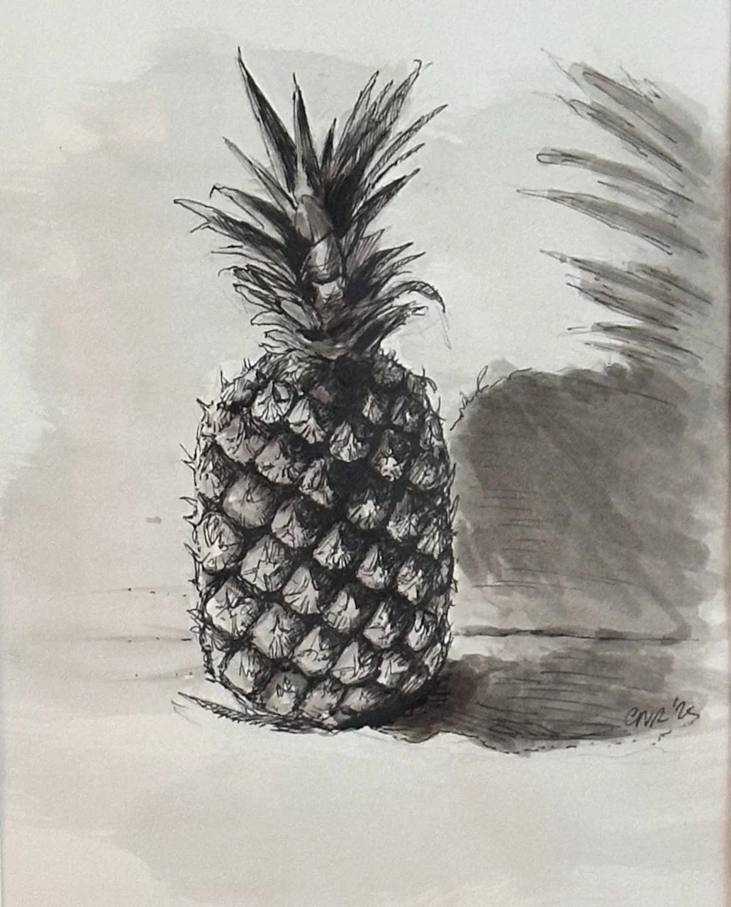 Pineapple Pen and Ink and Wash Study