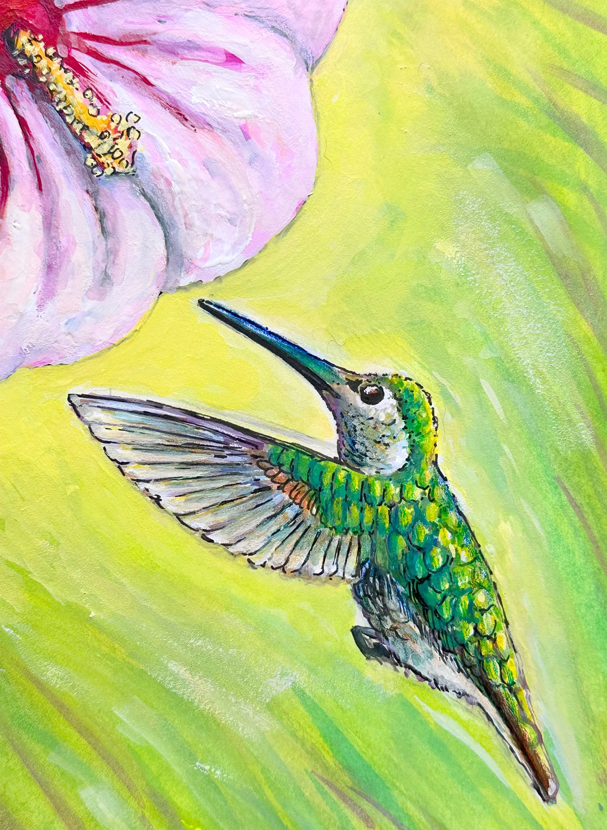Female Ruby Throated Hummingbird & Hibiscus Flower
