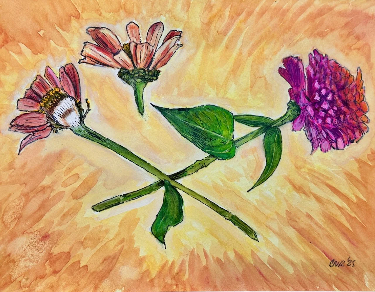 Electric Zinnia Watercolor and Pen