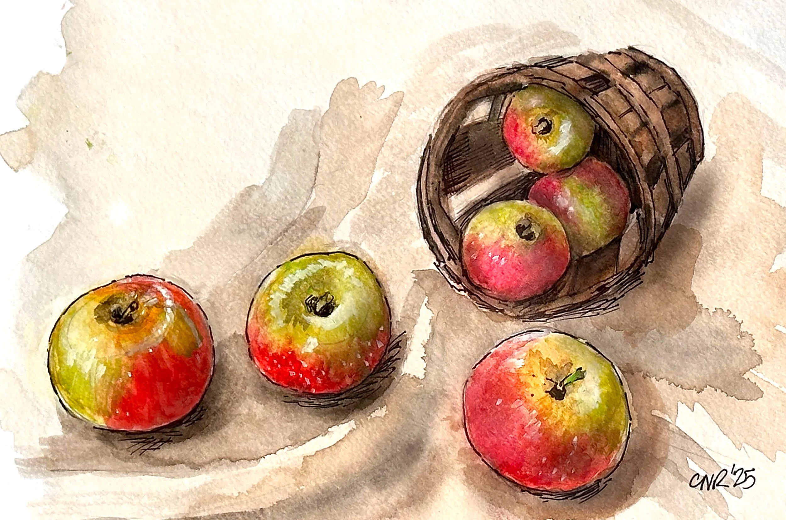 Fall Apple Harvest Watercolor