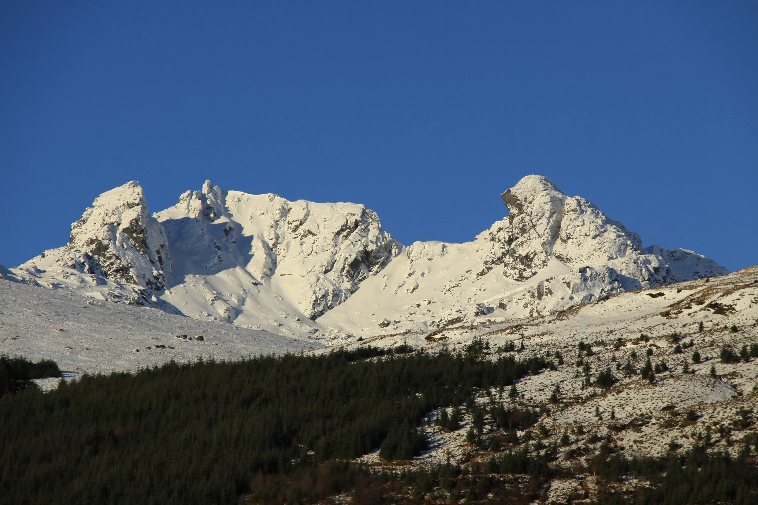 Ben Arthur Snow Scene.JPG