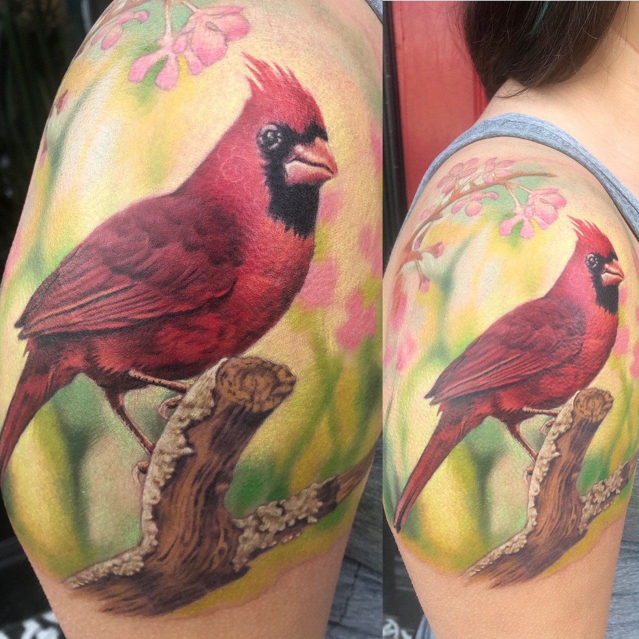 Cardinal.jpg