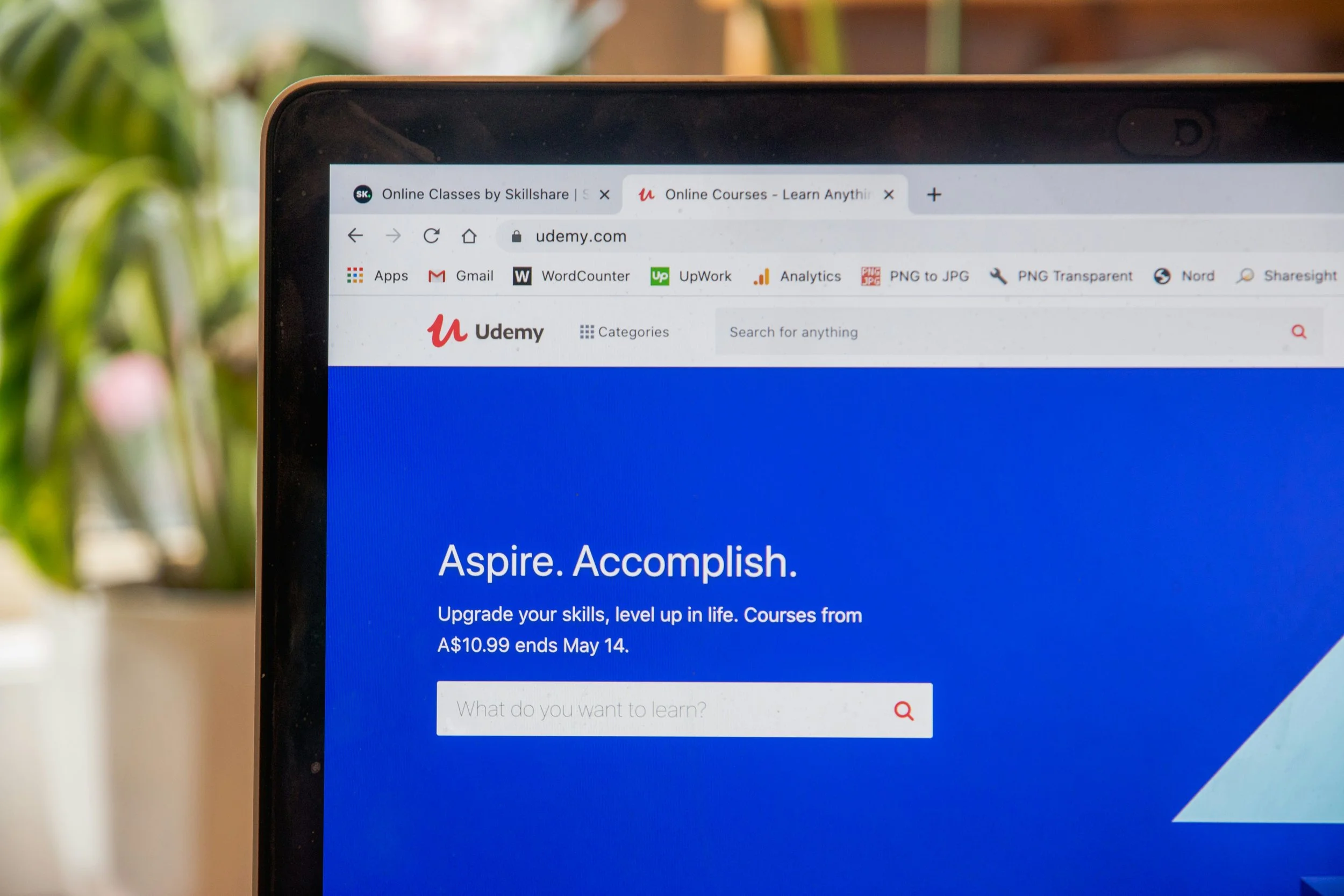 The Rise of Online Car Repair Courses: Are They Worth It?