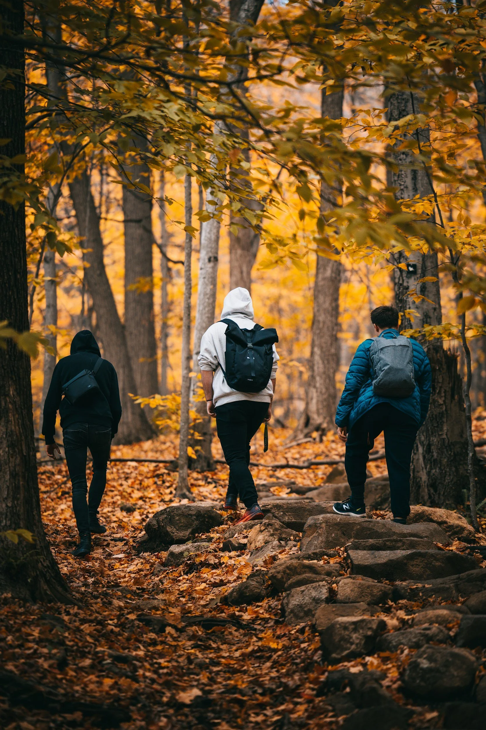 Three people hiking in autumn forest with backpacks, surrounded by fallen leaves.