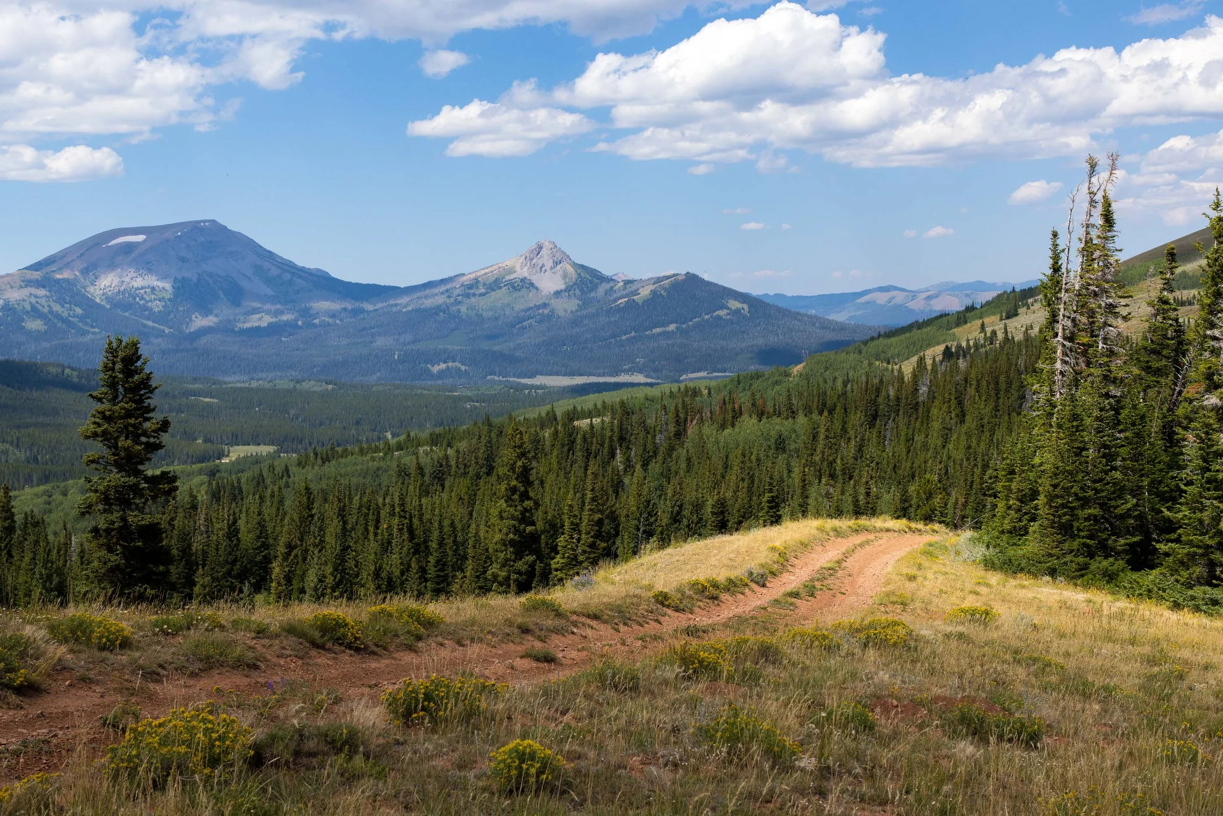 ARS_WY_20230817_1754.jpg
