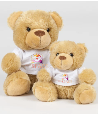 Our Space Teddy Bear