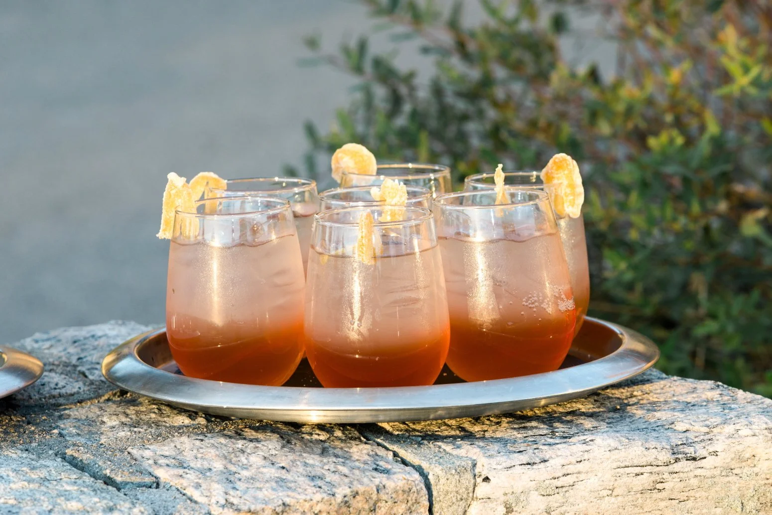 10.17.25 Wedding - 730 of 1328.jpeg