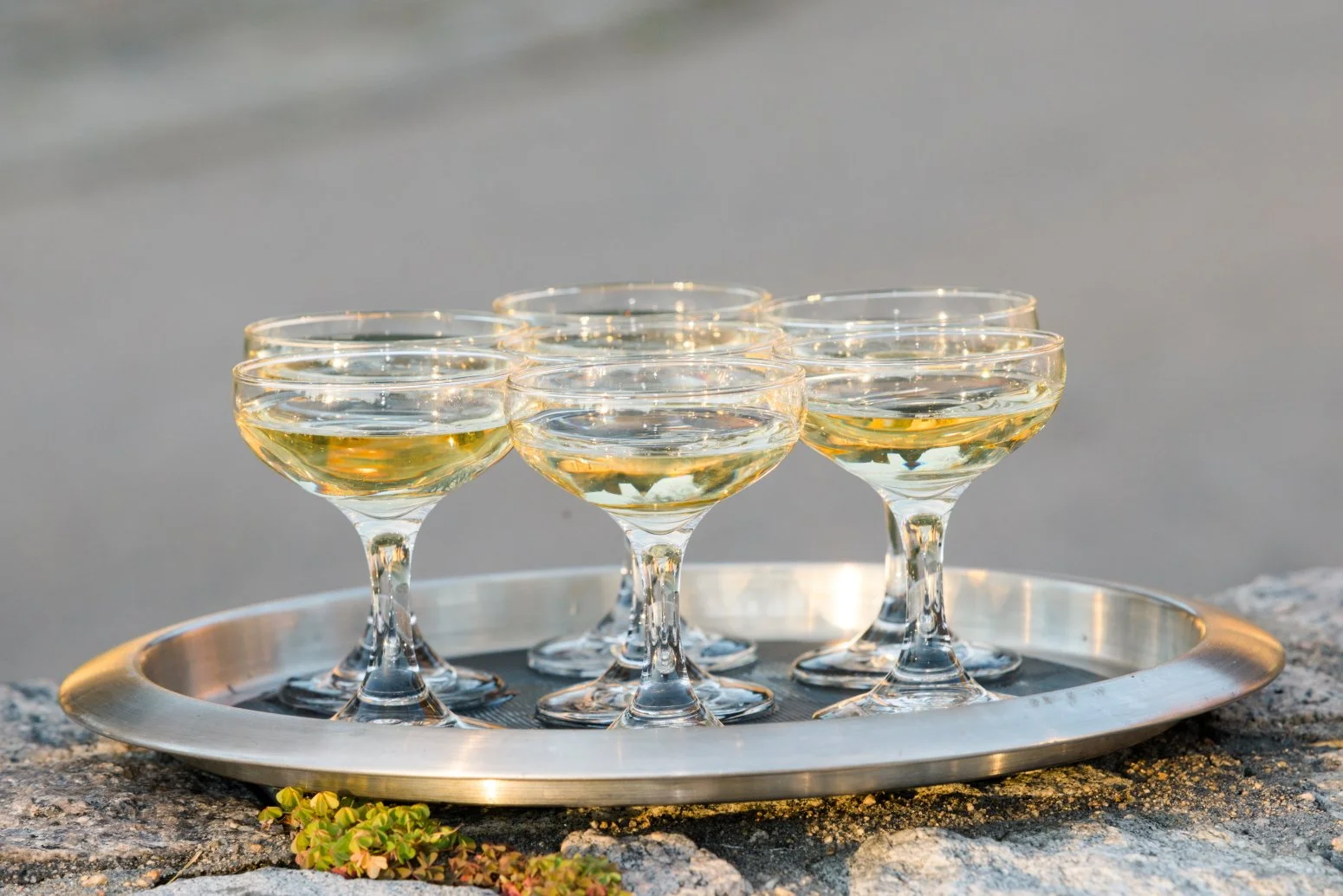 10.17.25 Wedding - 729 of 1328.jpeg