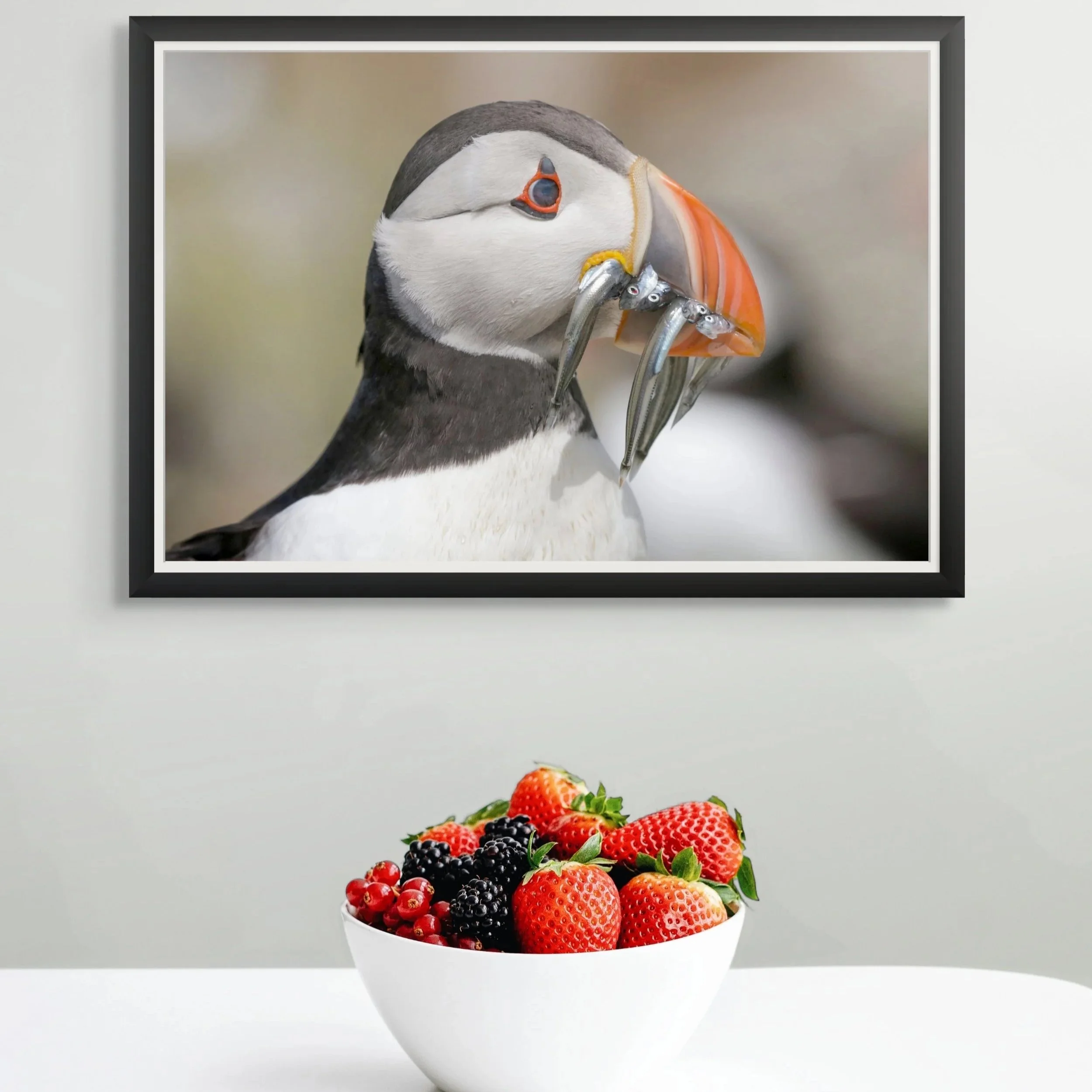 Photograph of a Puffin with sand eels and a bowl of fruit