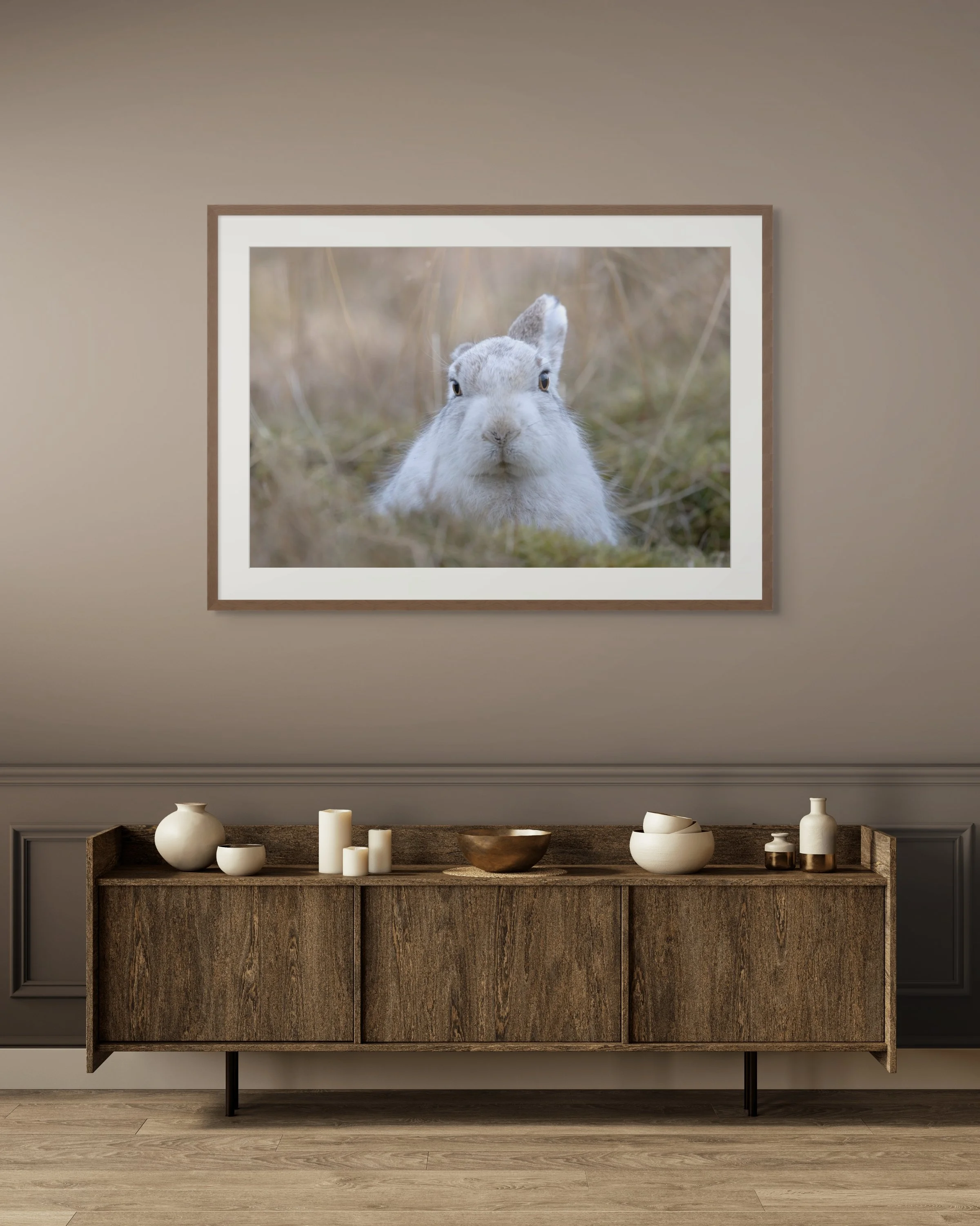 Photograph of a Mountain Hare hanging in a sitting room