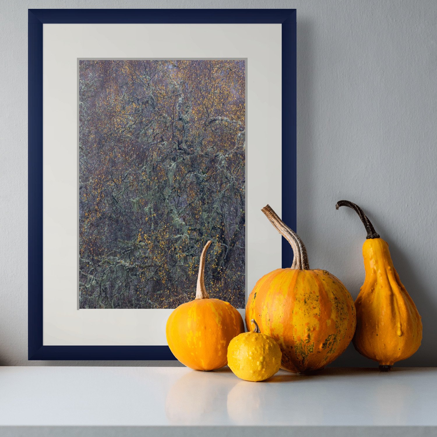 A fine Art woodland abstract photo above a sideboard with some yellow gourds