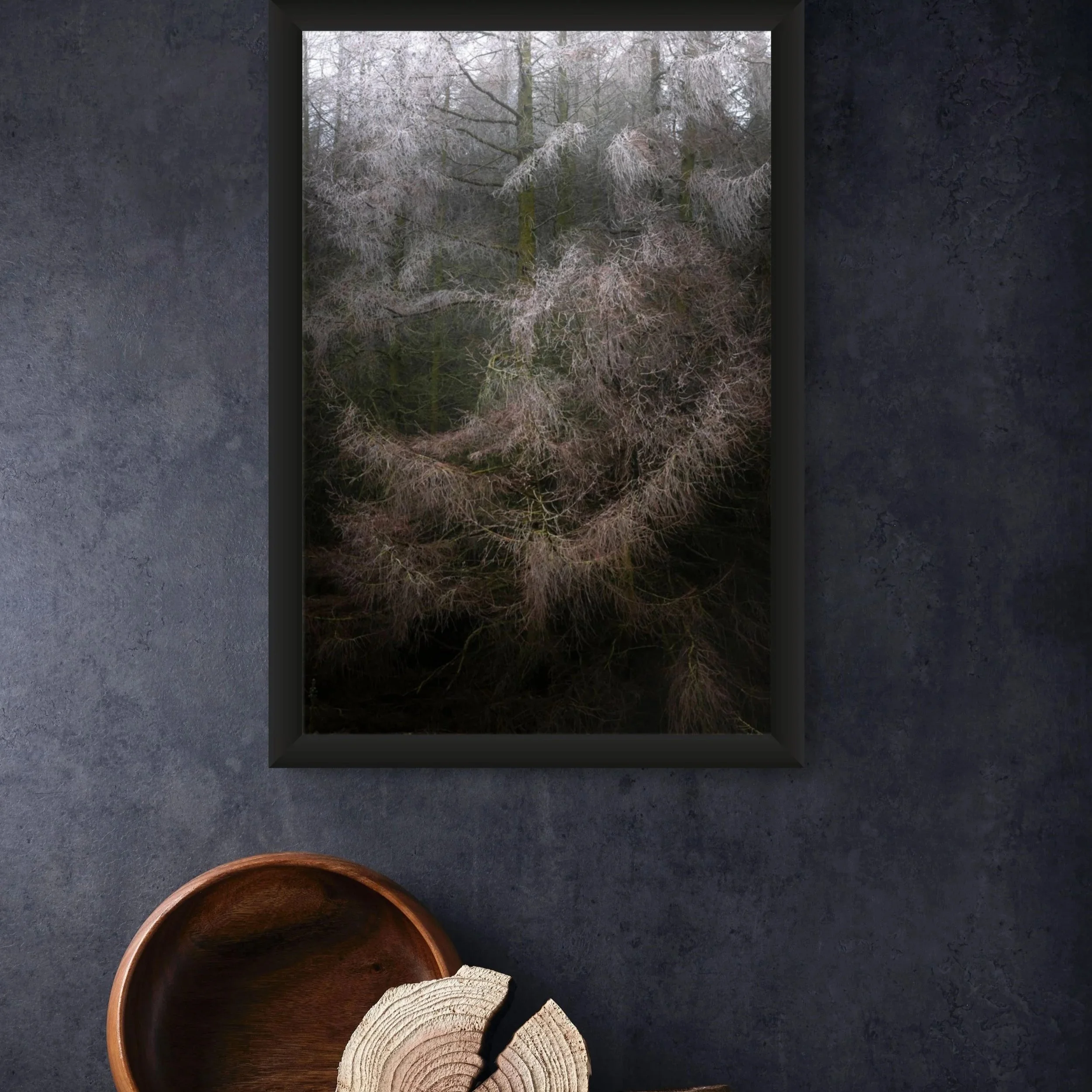 Hoar frost woodland fine art photograph