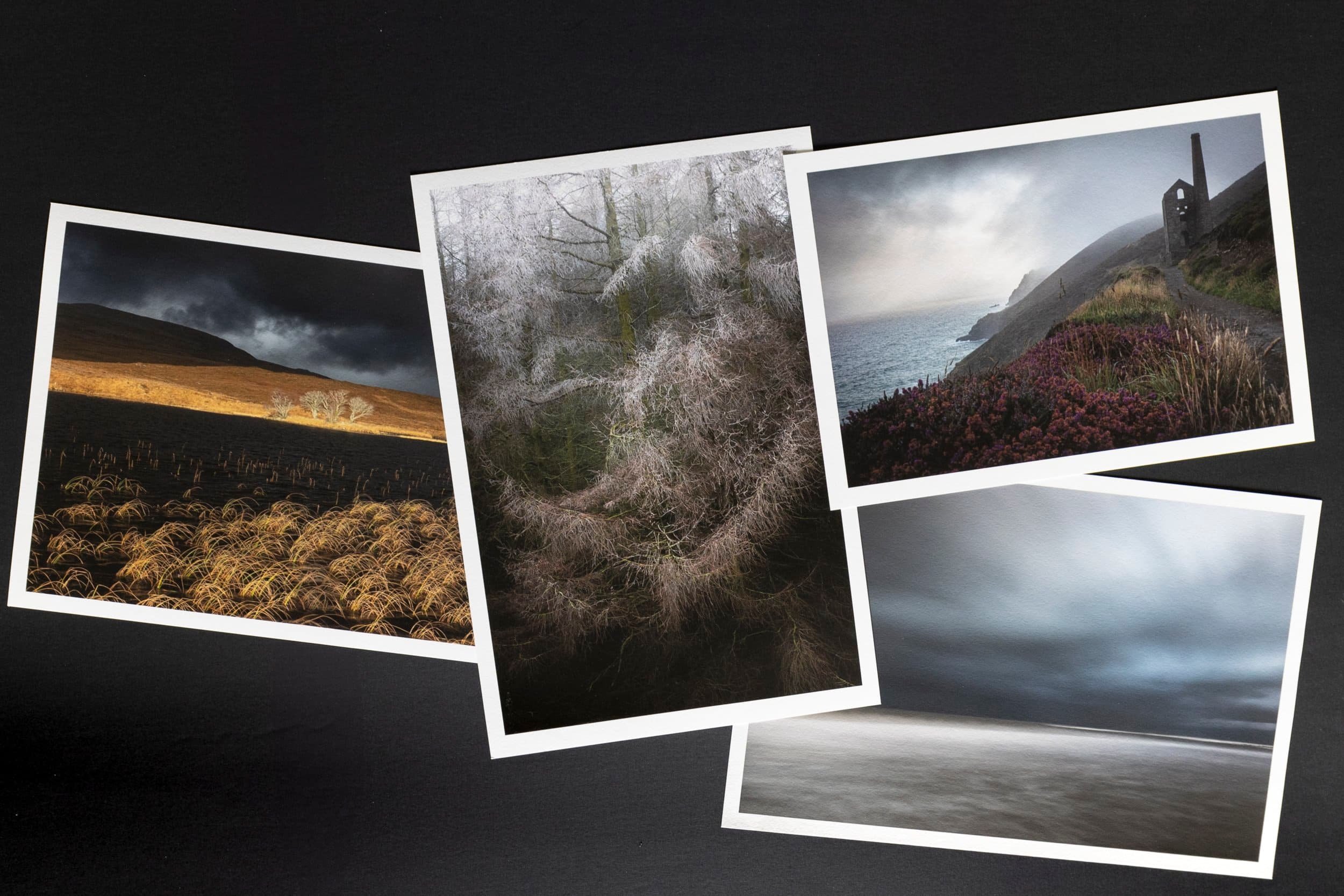 a selection of fine art photographic prints