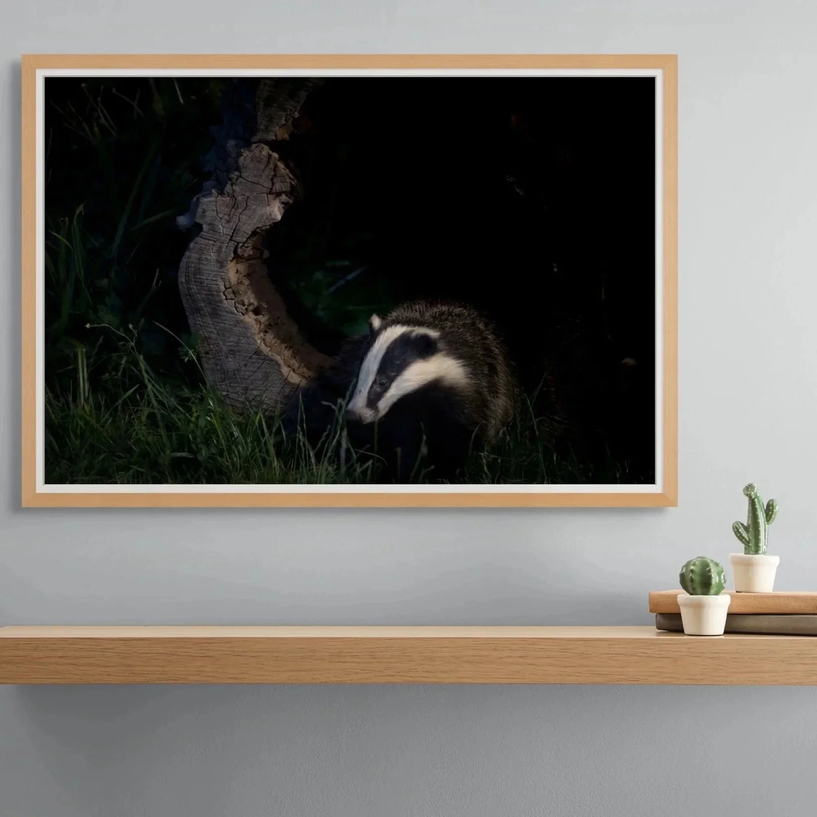 Photograph of a badger in a home setting