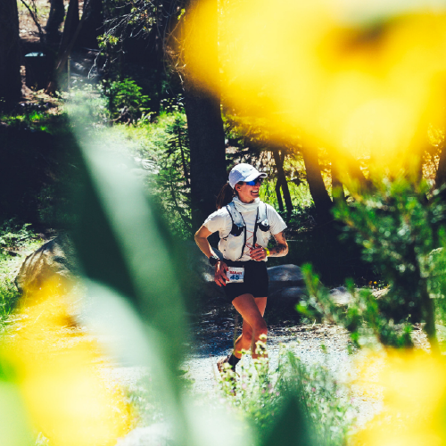 WSER