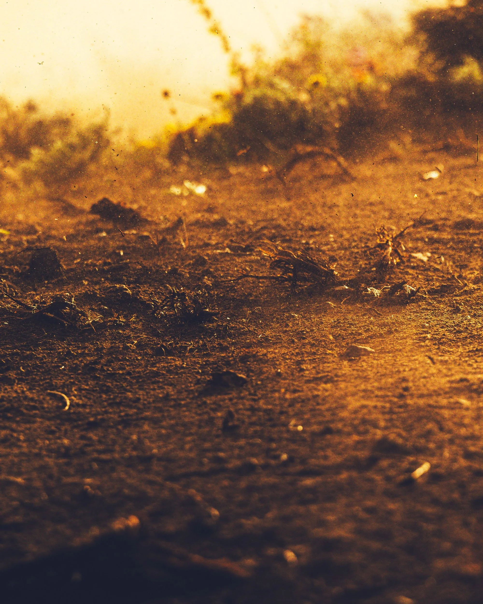 Close-up of a crackling fire on the ground with smoke rising in the background.