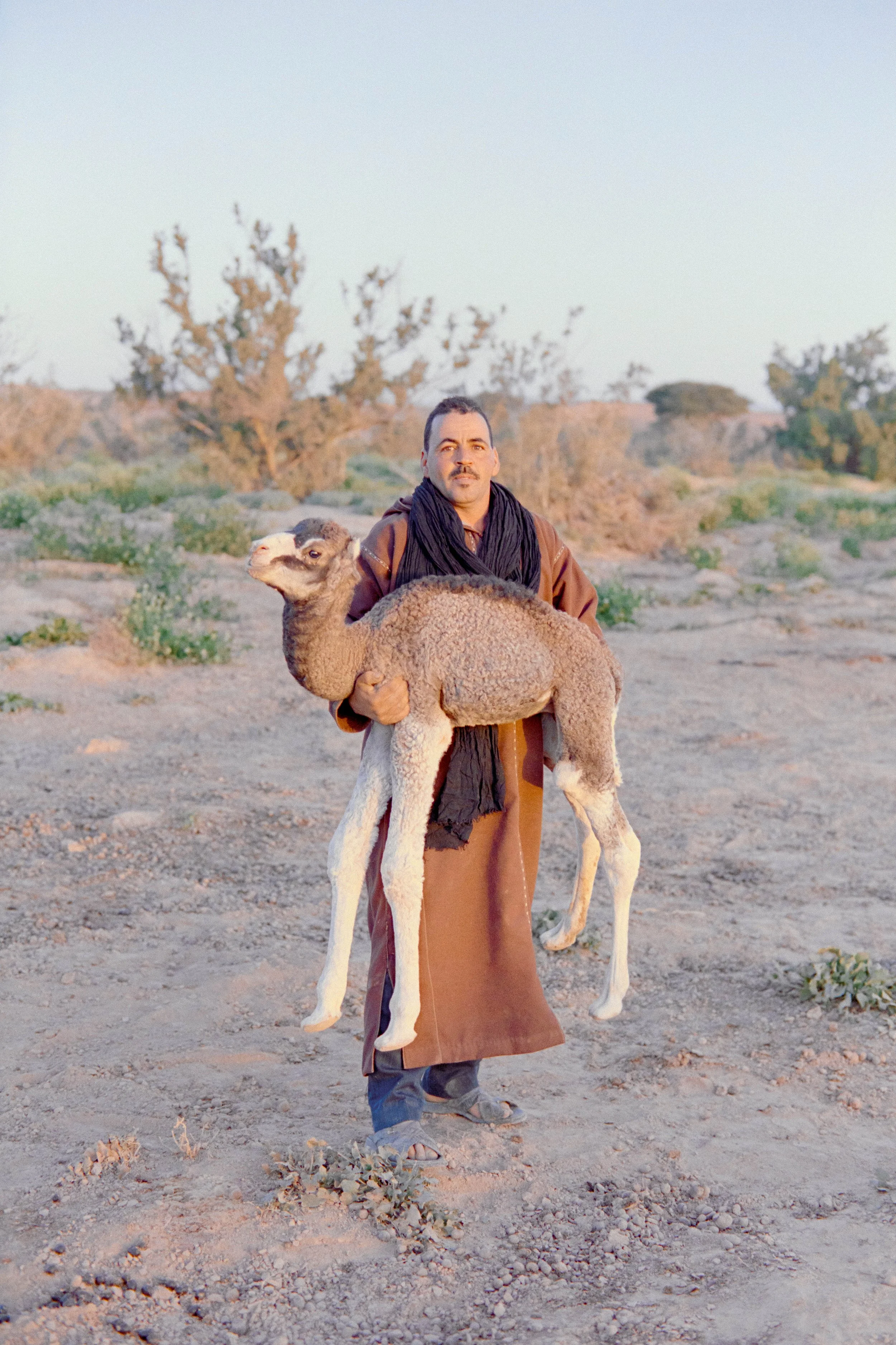 4 - Nomad and his new born camel.jpg