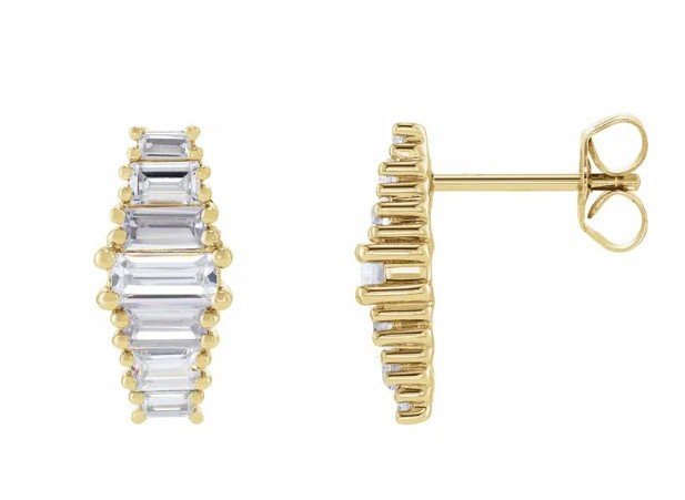 bagg earrings .jpg