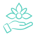 Outline of a hand holding a stylized lotus flower