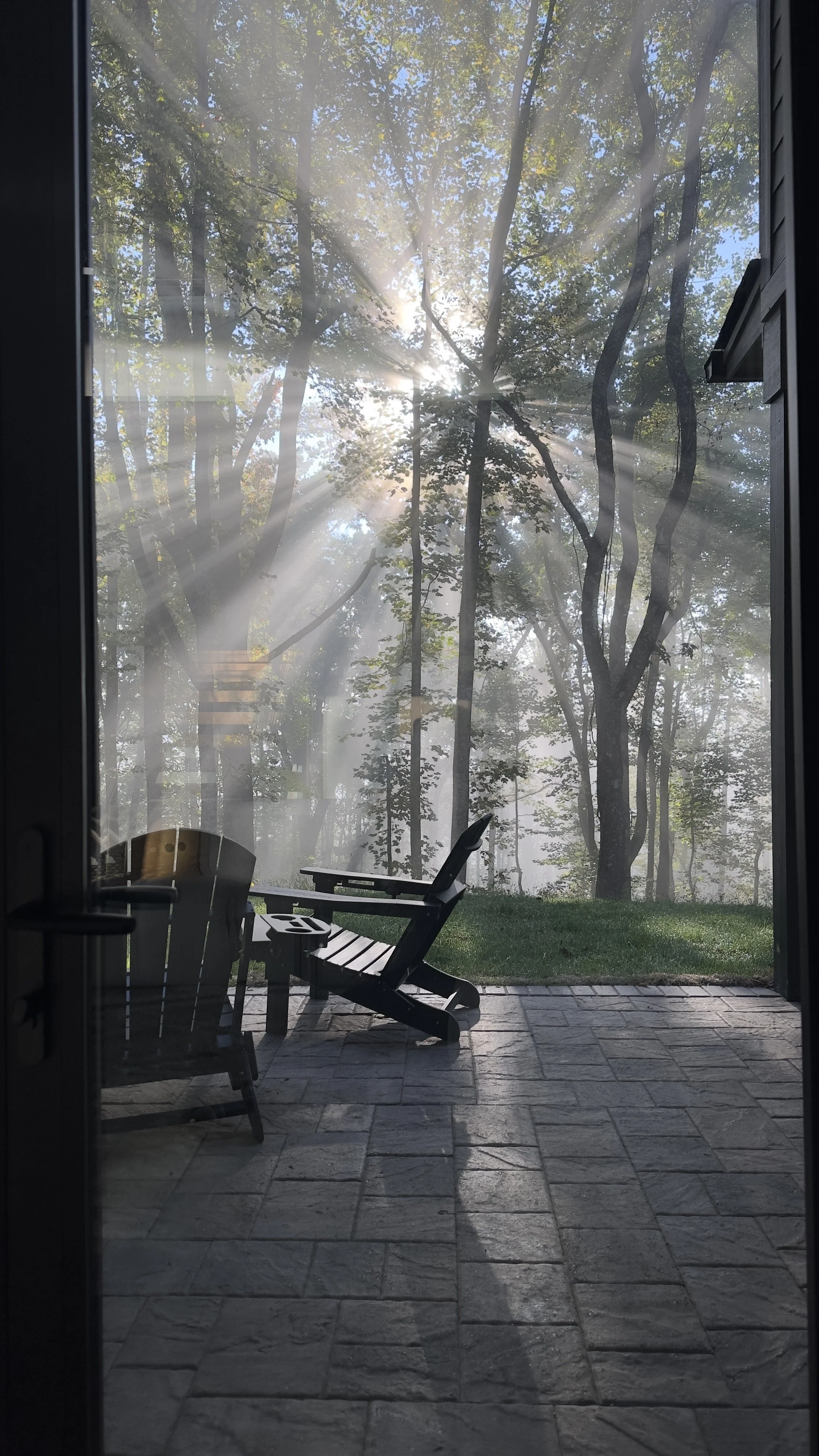 Light thru trees NC.jpg