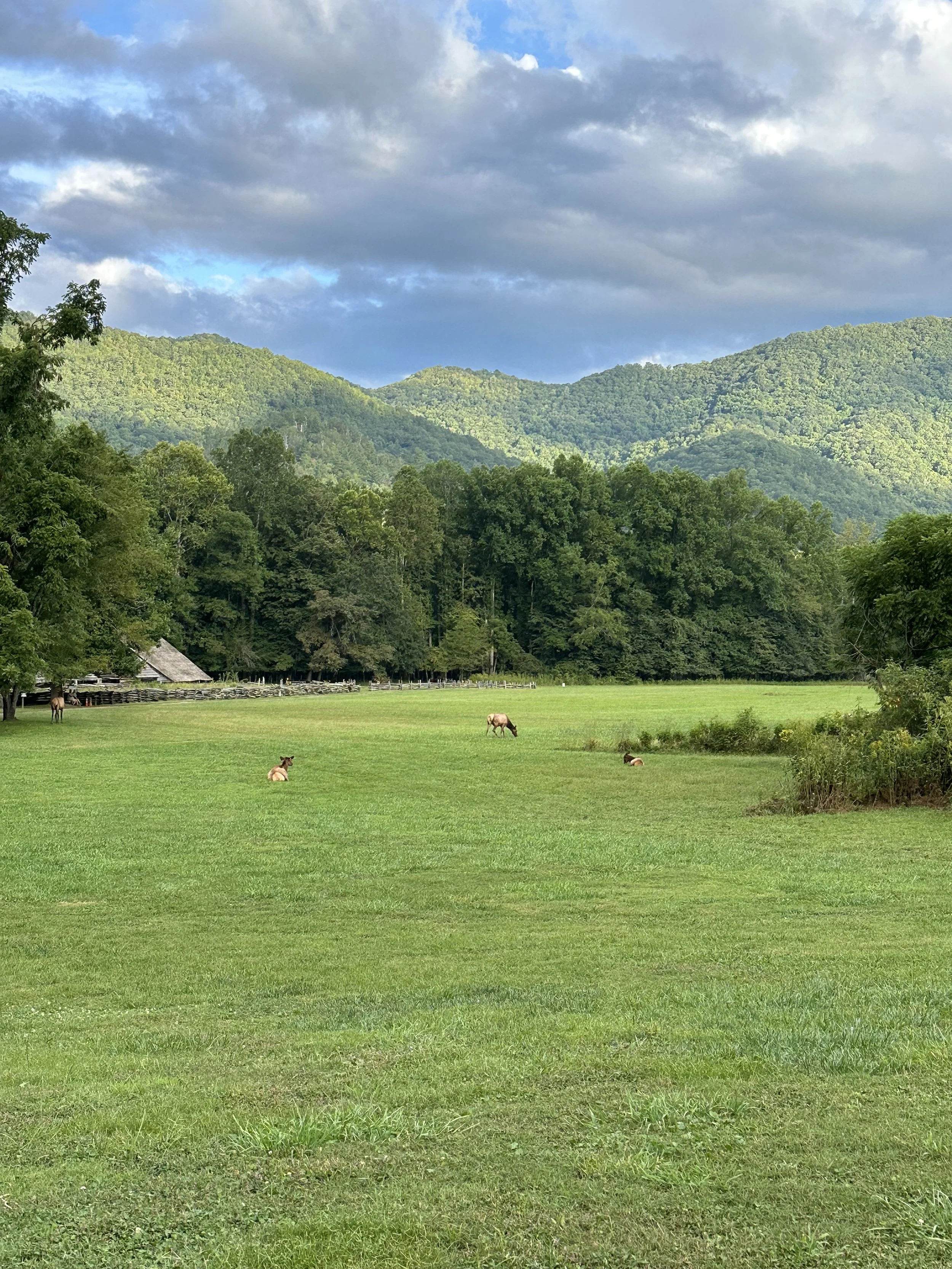 Bucolic NC.jpg