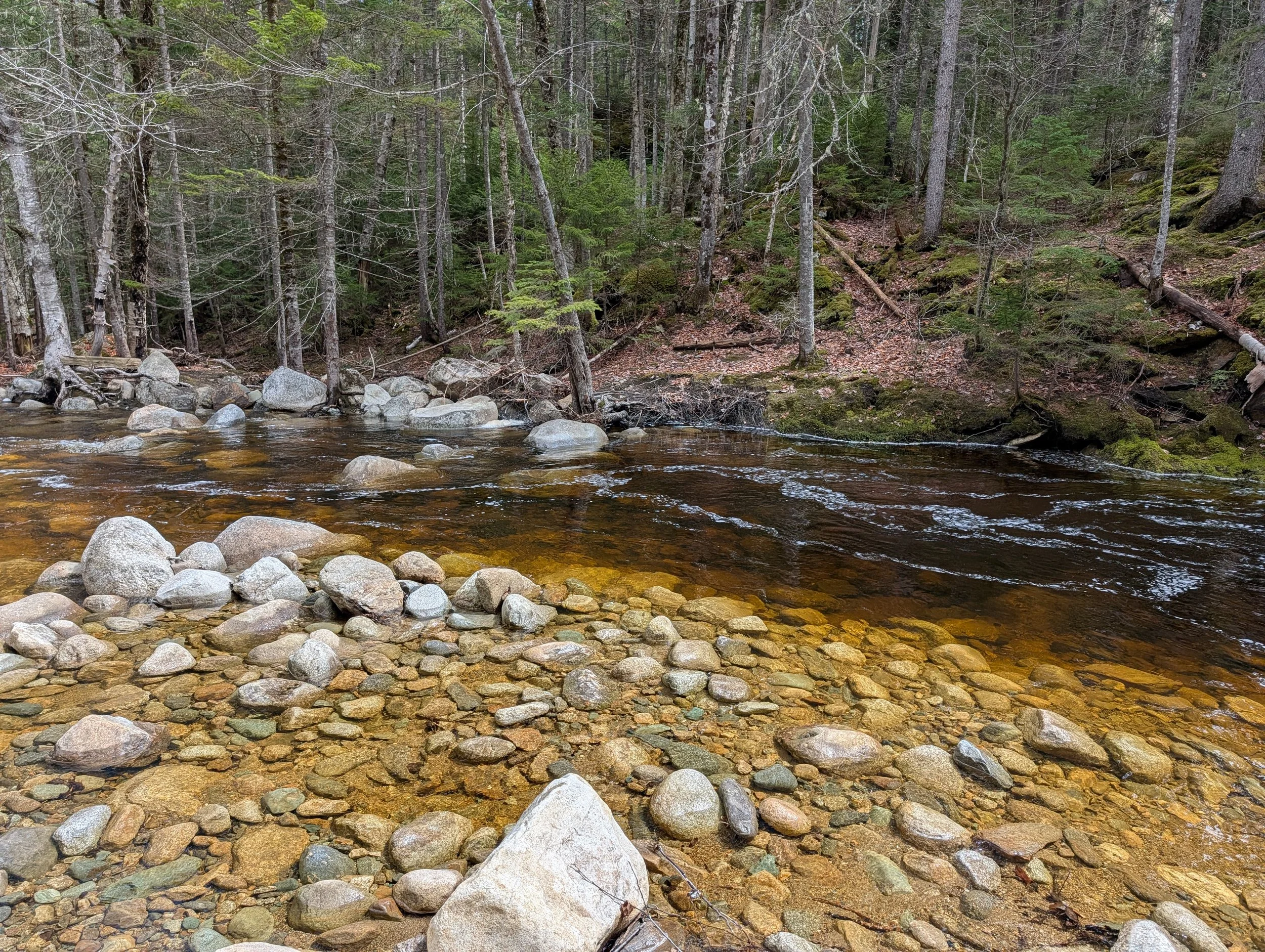 PXL_20260501_155228740.jpg