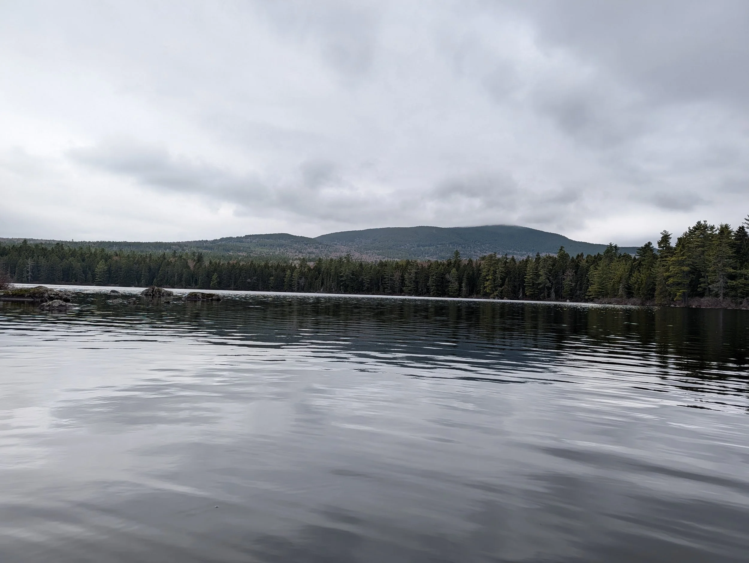 PXL_20260502_185213137.jpg