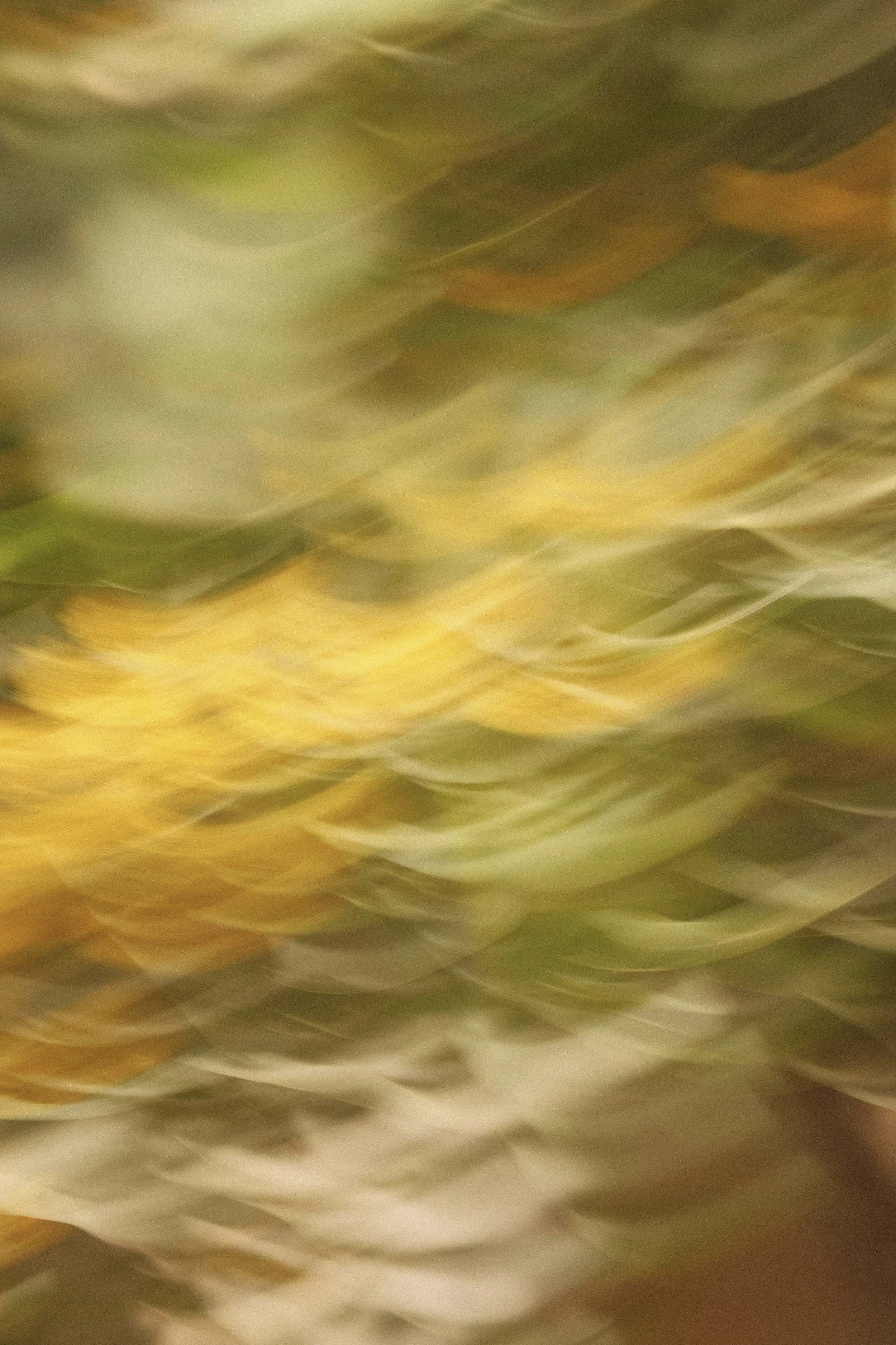 IMG_2213.jpeg