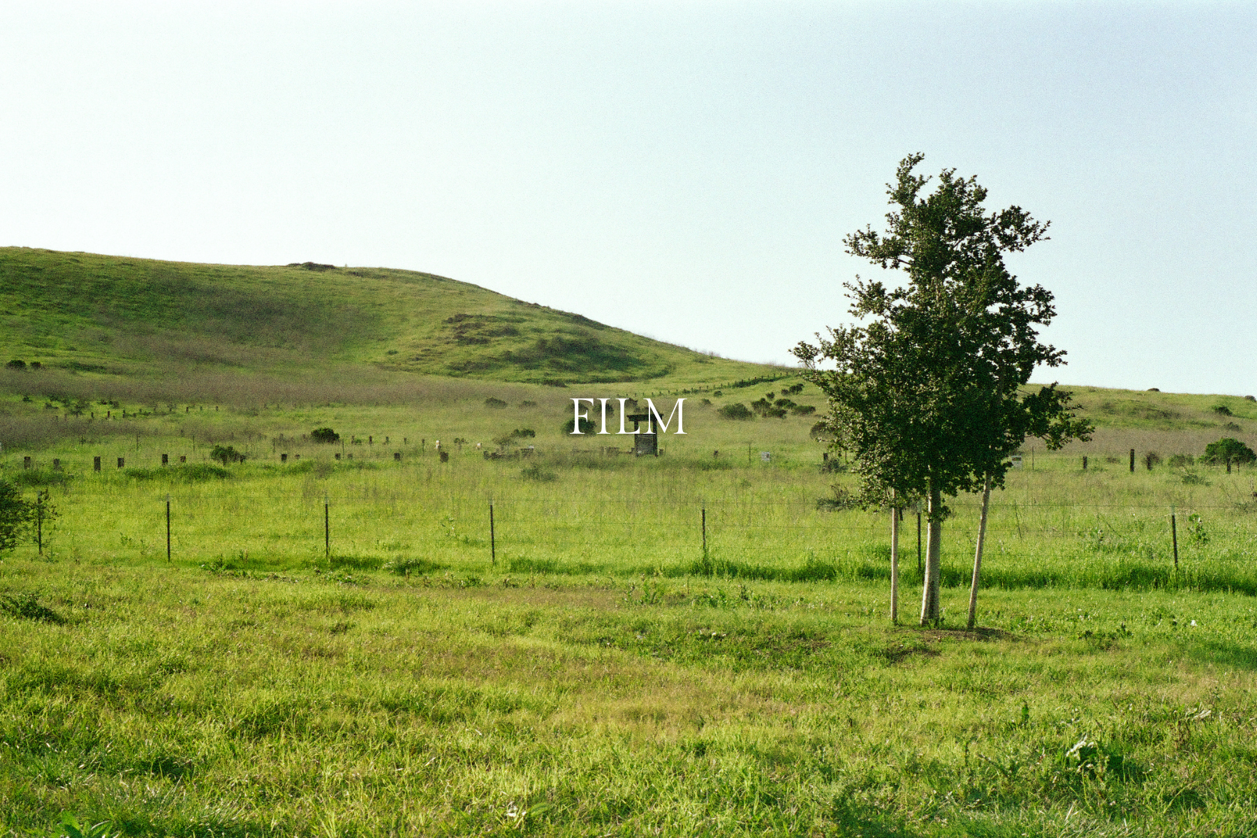 Your paragraph text-2.png