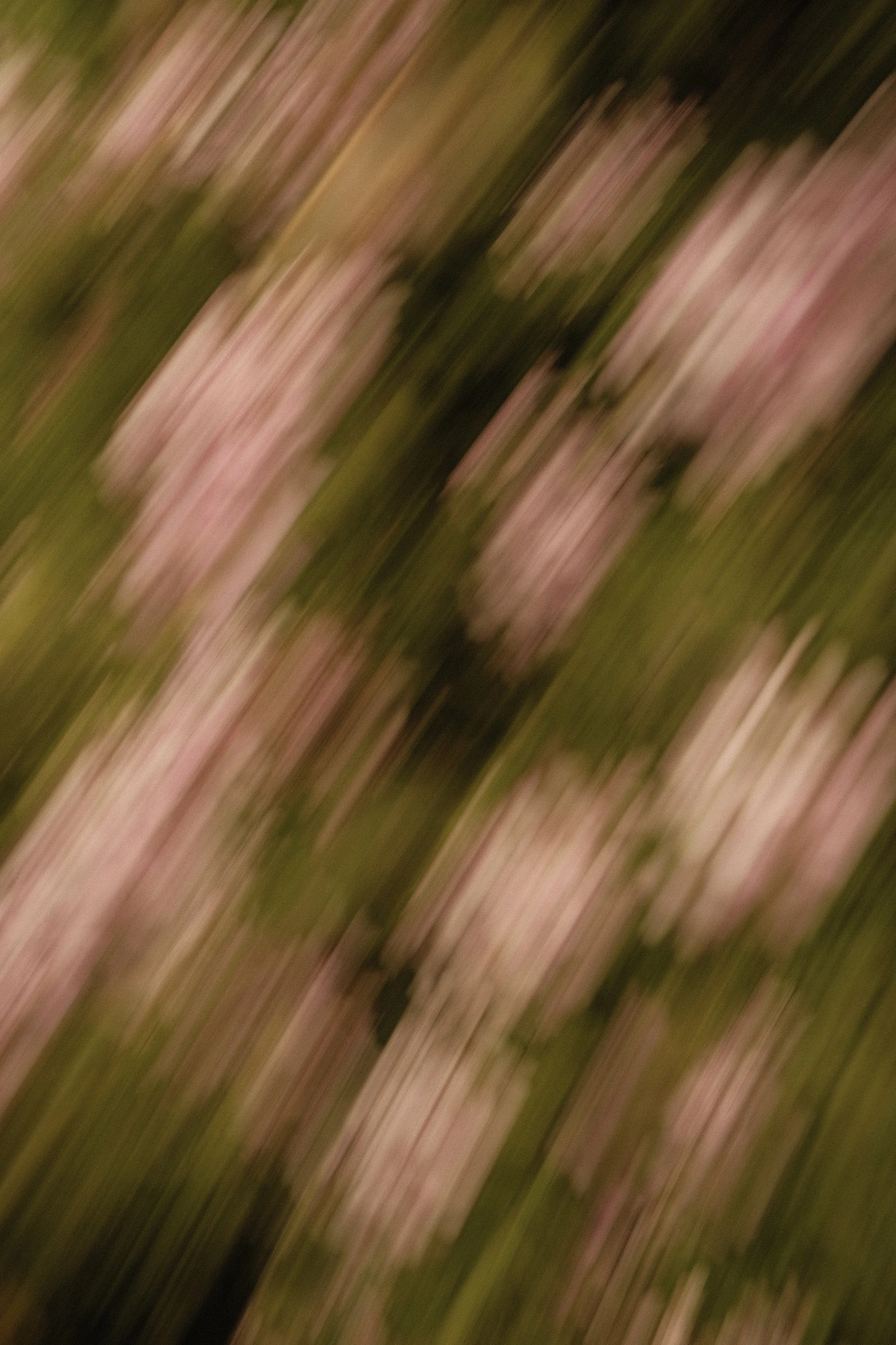 IMG_2148.jpeg