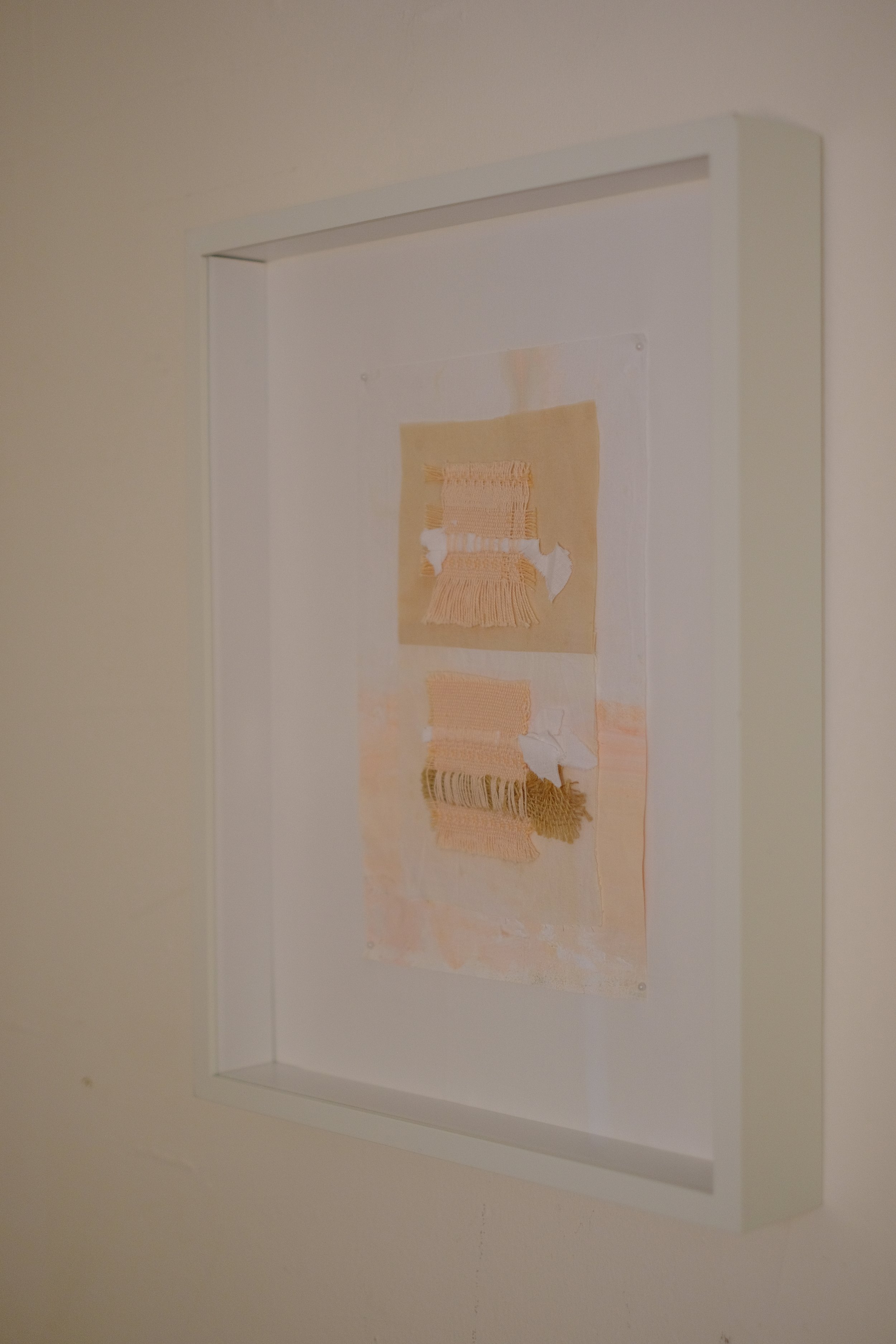 DSCF1646.jpg