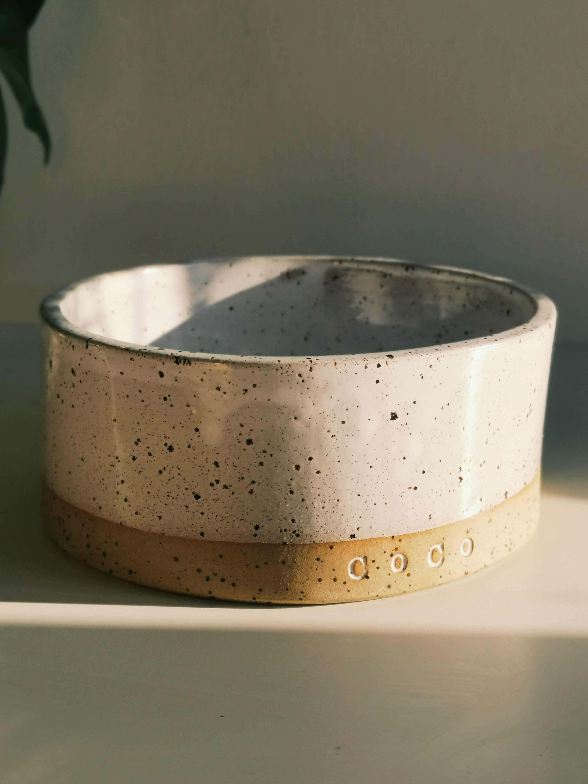 Pet Bowl Workshop