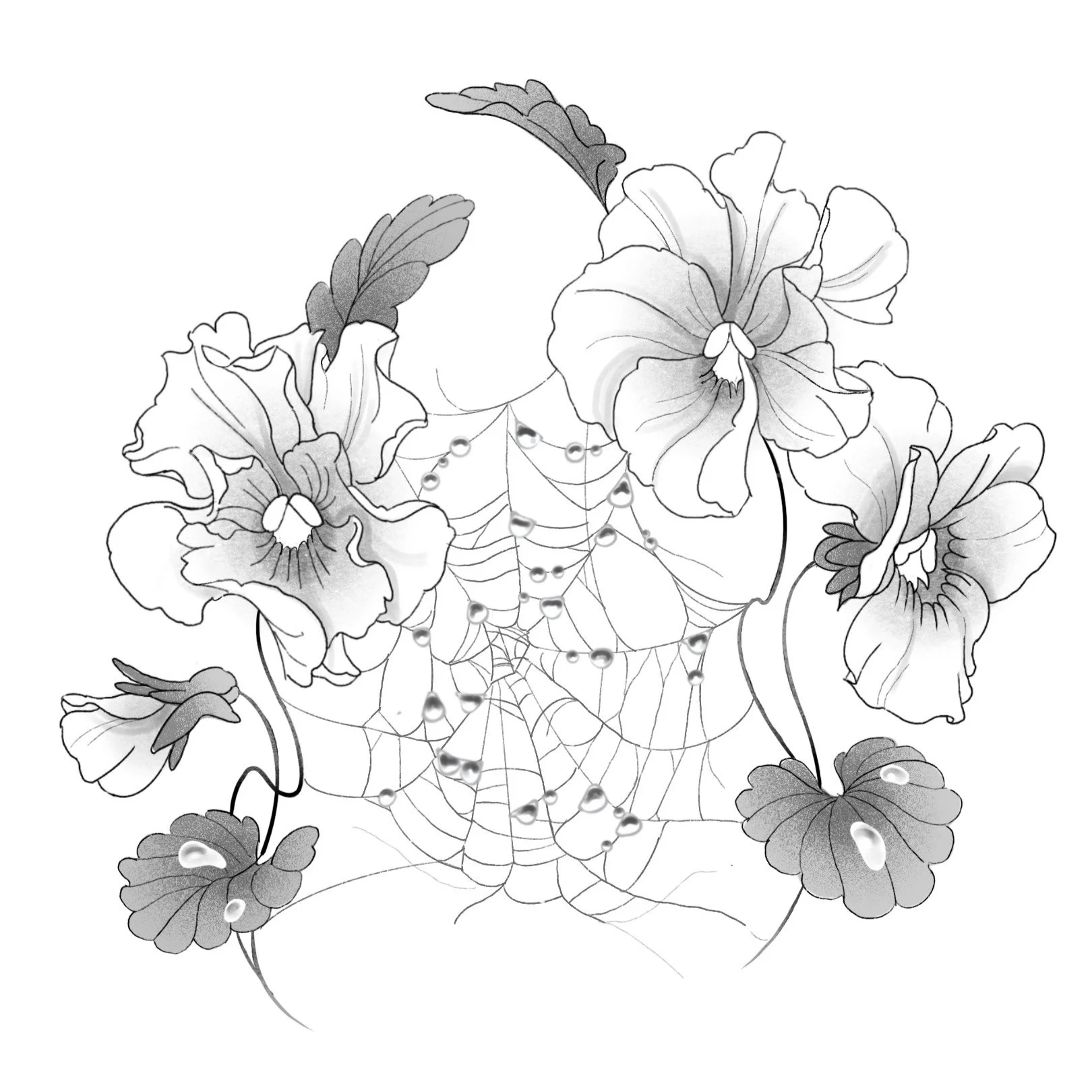 Pansies and Webs 2025