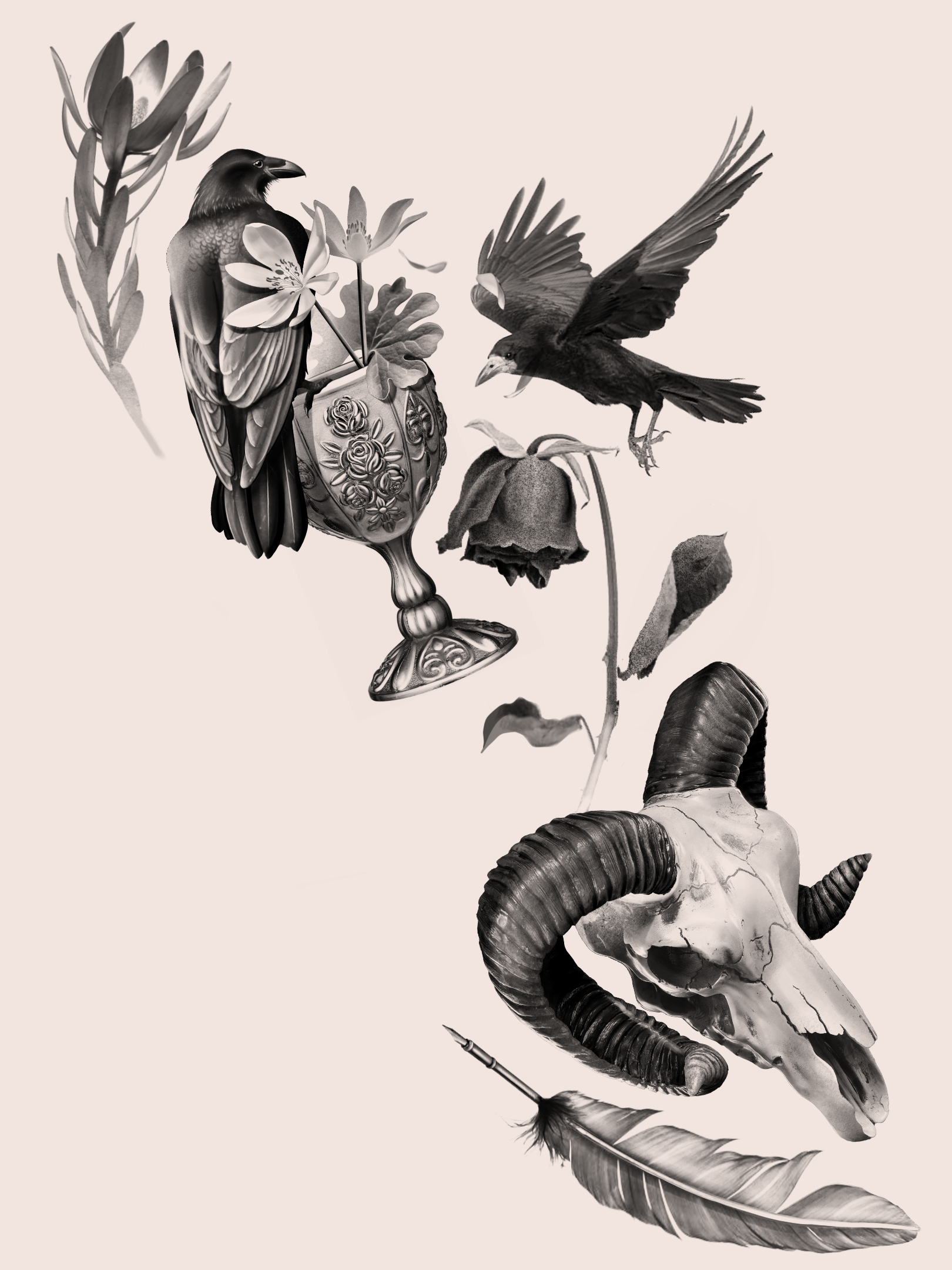 IMG_1363 (1).png