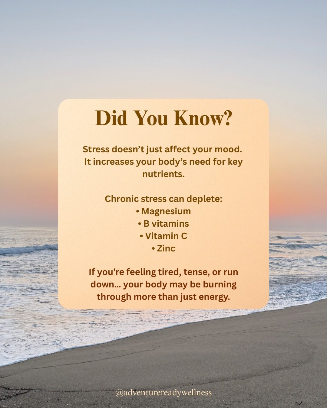 Did you know?
Stress doesn&rsquo;t just affect your mood. It can increase your body&rsquo;s demand for essential nutrients.
Chronic stress may deplete key nutrients like: Magnesium, B vitamins, Vitamin C, and Zinc
So if you&rsquo;re feeling tired, te