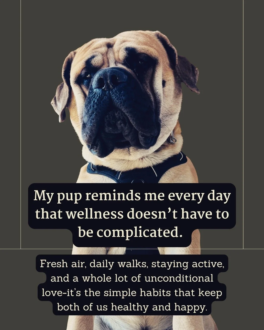 Taking care of your body doesn&rsquo;t always mean intense routines&hellip; sometimes it just means slowing down, getting outside, and enjoying the moment.
#WellnessJourney #HealthyLifestyle #DogLife #holistichealth #integrativenurse