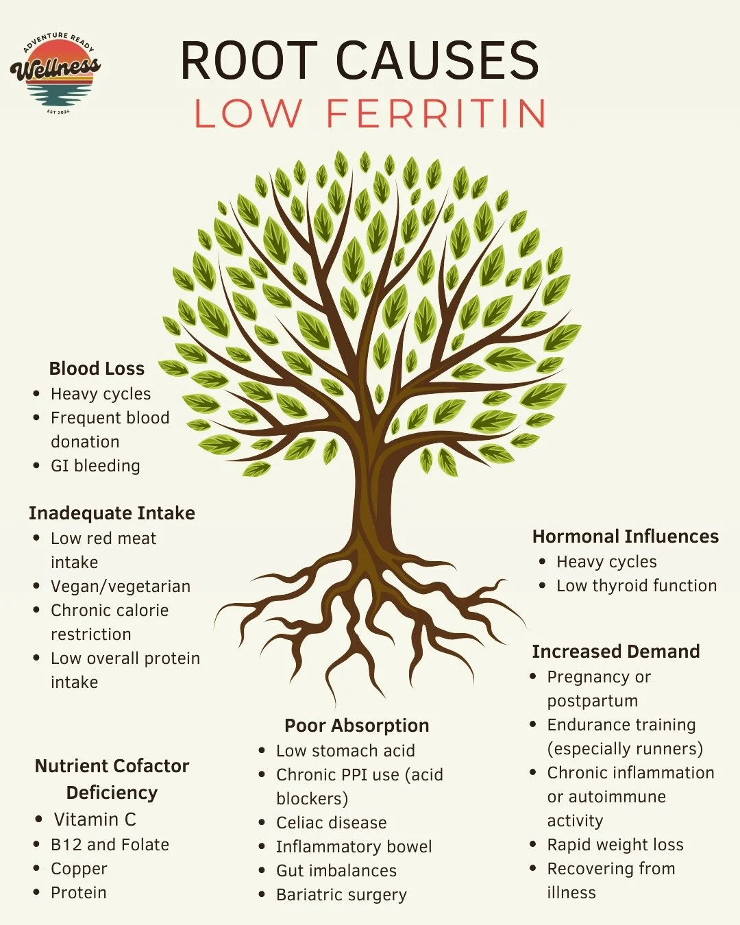 Low ferritin is a downstream marker, not a diagnosis.
In functional medicine, we don&rsquo;t just ask &ldquo;how do we raise iron?&rdquo;
We ask:
&bull; Why is it low?
&bull; Is it intake, absorption, loss, or demand?
&bull; What system is driving th