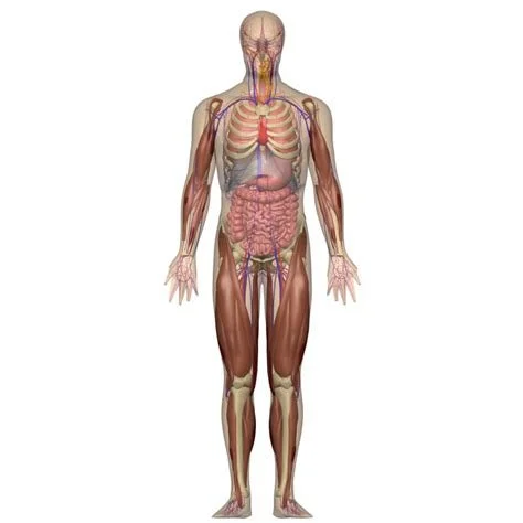 Is Functional Medicine Really Pseudoscience? 