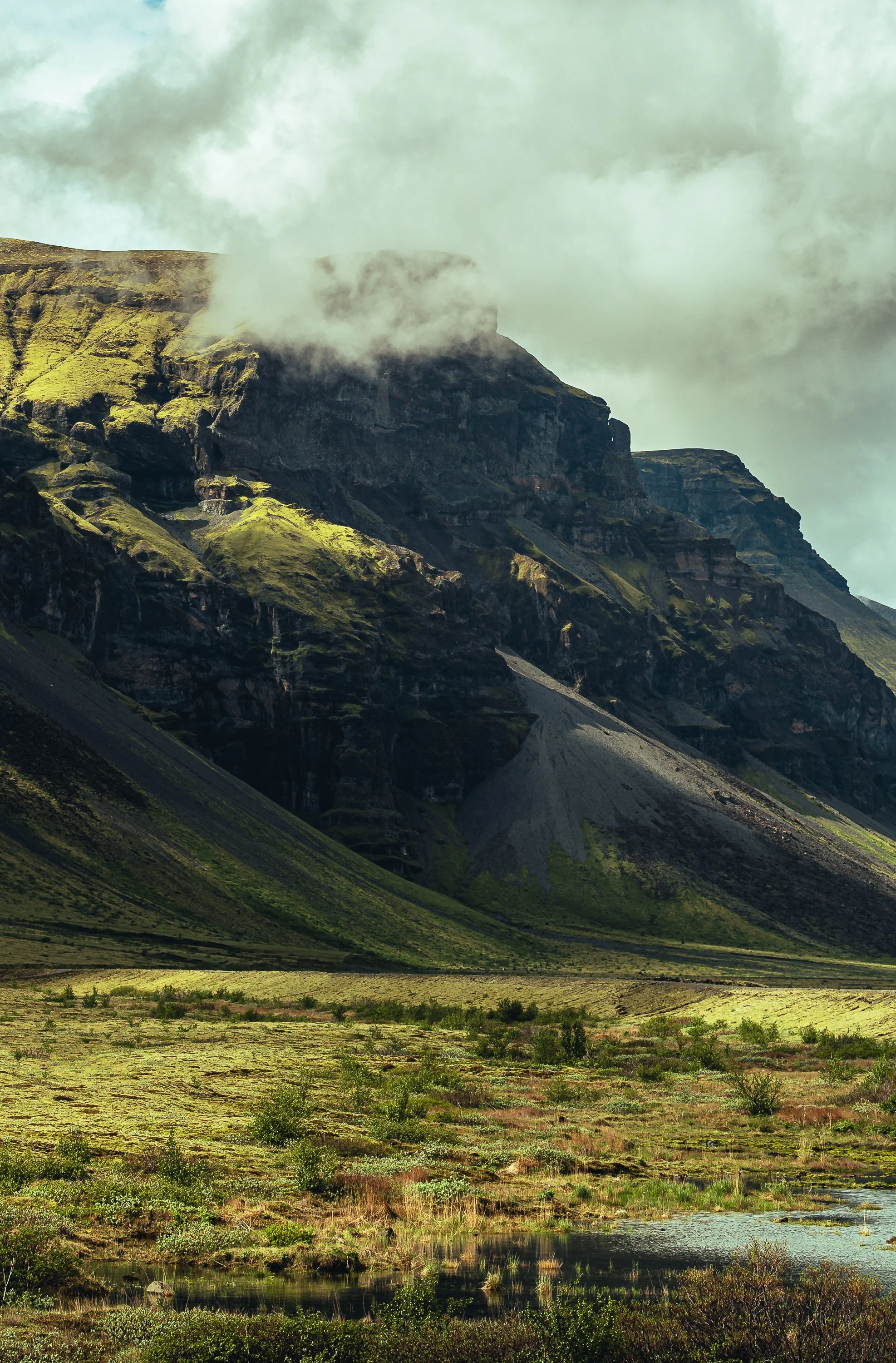 ICELAND-2026-4535.jpg
