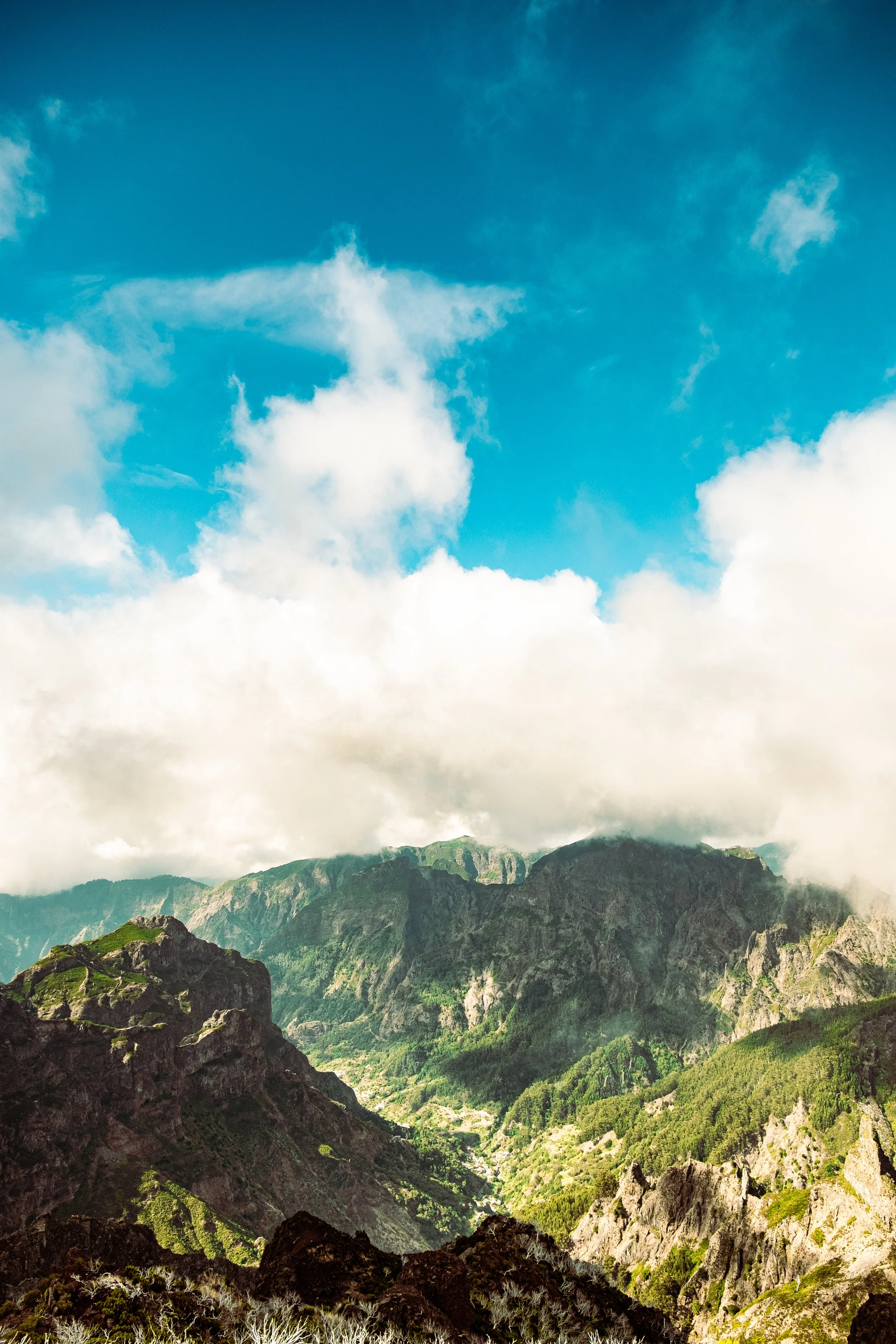 Madeira-7141.jpg