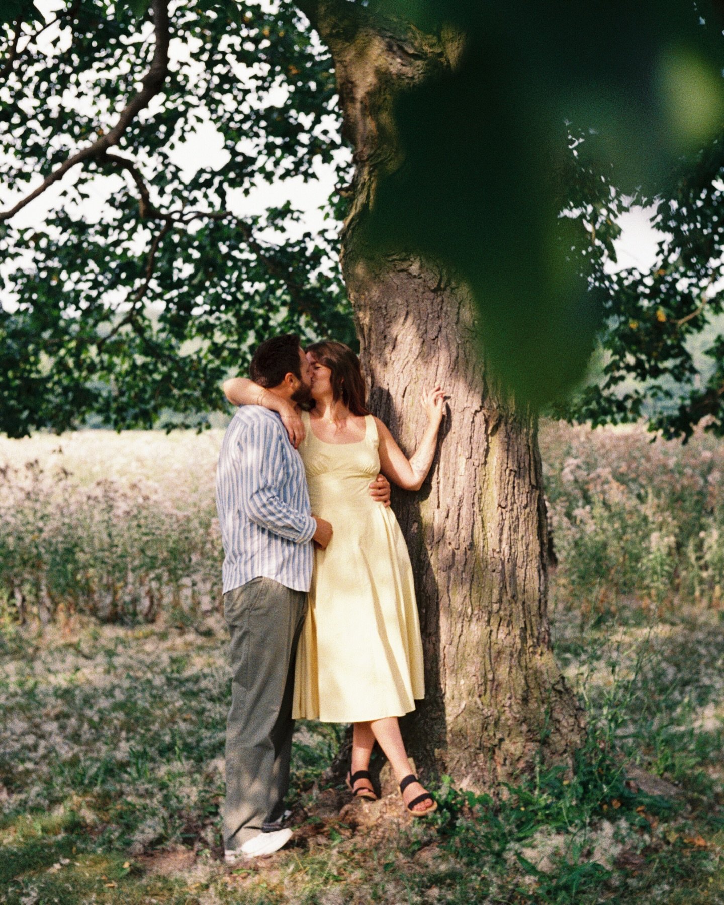 I couldn&rsquo;t tell what was more sunny, the park or the glow from these two about to be married. This sweet engagement was a mix of film and digital at Palmer park (my personal favorite). 
.
#engagementsession #detroitweddingphotographer
